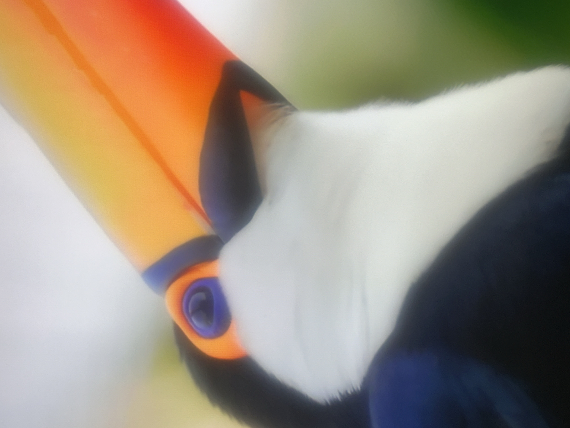 The image is a close-up, abstract shot of a toucan. The bright orange and yellow beak dominates the frame, with the bird's eye, a deep blue and purple, visible beneath it. The white chest feathers are also prominent. The background is softly blurred, with hints of green and light gray suggesting an outdoor, natural environment. There is no indication of the city of Almaty, Kazakhstan, or any urban setting in the image.