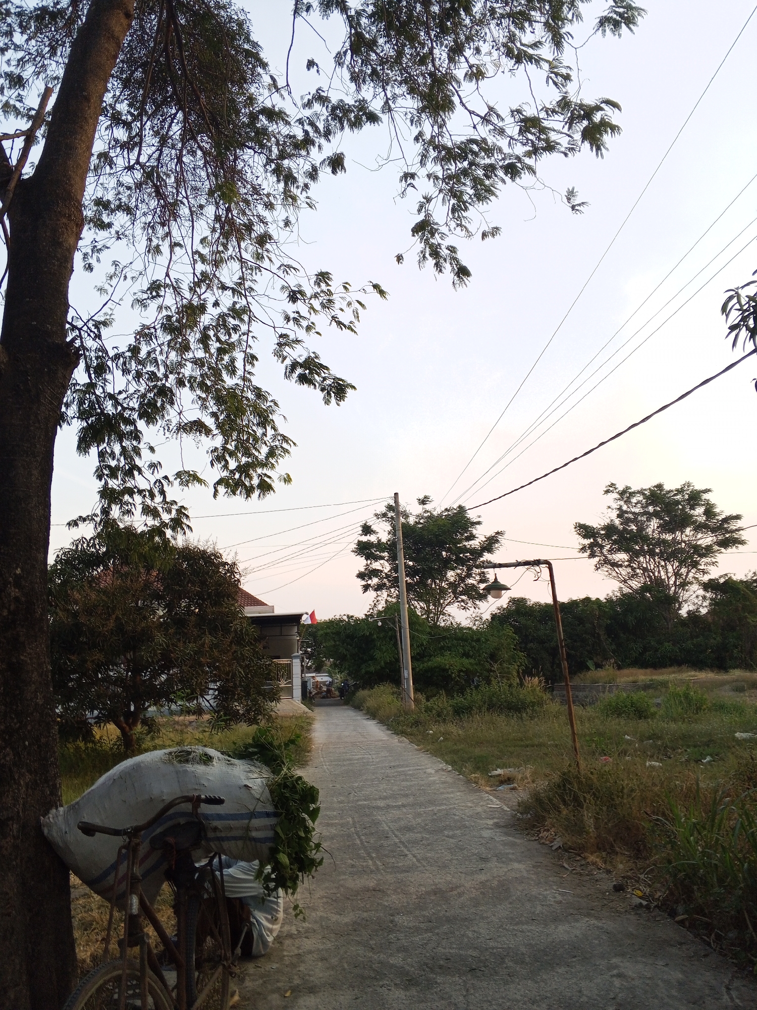 An asphalt path leads through a rural area with vegetation and trees on either side. On the left, a bicycle is parked leaning against a large tree, its cargo area piled high with a large, white sack filled with green foliage and other objects. The sack appears to be secured with rope. The bicycle is old and appears to be made of dark metal. In the background, houses and more trees are visible, with utility poles and wires crossing the sky. The sky is a pale, hazy blue, suggesting it is either early morning or late afternoon. The overall scene is one of a utilitarian landscape, likely in a village or on the outskirts of a town. The location is identified as Gebang, Indonesia.