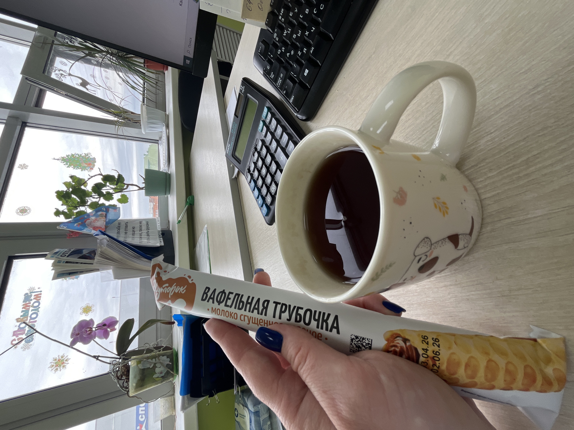 The image shows a desk scene, likely indoors, with a cup of tea or coffee, a calculator, a keyboard, and a snack being held by a person. The snack is a wafer tube with condensed milk filling, manufactured under the brand "Kutuzov," with the expiration dates listed as 03.04.26 and 02.06.26. The hand holding the snack has dark blue nail polish. There's a window showing an exterior view, including a plant, which likely places the scene in a room with access to natural light. The window has a printed sign, indicating that it is located in Klin, Russia, with a message saying "Please do not place objects on the windowsill, do not touch the flowers." There are also flowers on the windowsill. The picture likely depicts someone taking a break at their desk.