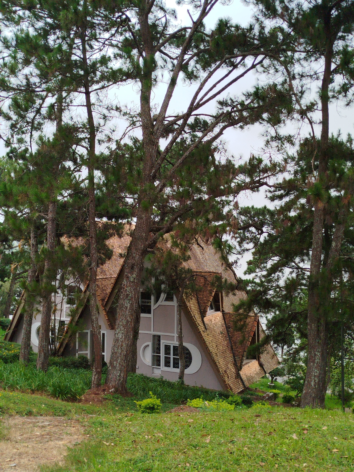 An A-frame house with a terracotta tile roof is situated amidst tall pine trees in Da Lat, Vietnam. The house has a light pink facade with white-framed windows, some of which are circular. The foreground consists of a grassy area with a dirt path leading up to the property. The sky is overcast.