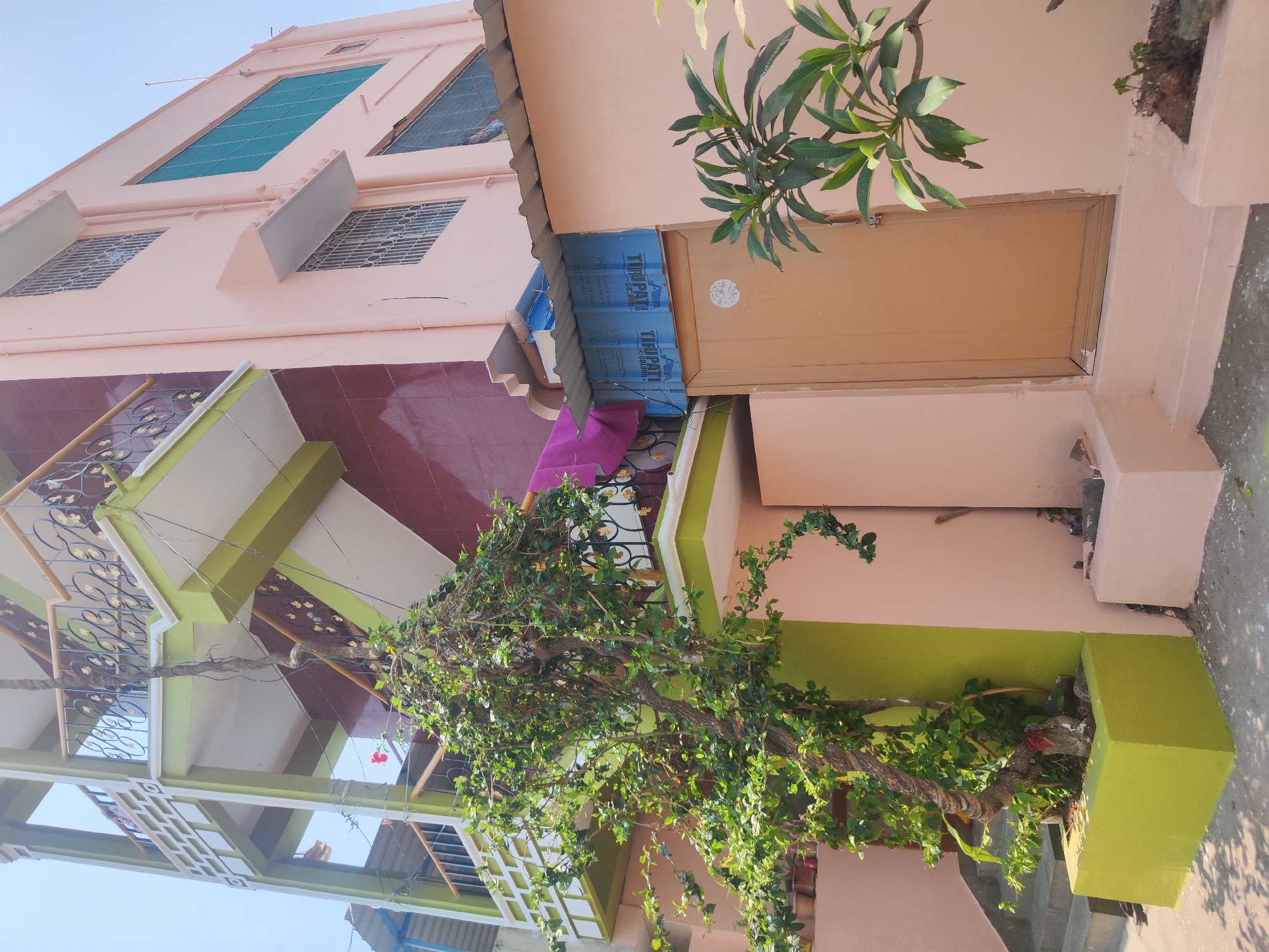 This photograph depicts a multi-story building in Pedda Kammavaripalli, India. The building is predominantly peach-colored with green accents on the lower sections. It has multiple windows, some covered with metal grilles, and a balcony featuring ornate black metal railings. A large, leafy tree or vine is growing in front of the building. An exterior door is visible on the right side of the frame. Part of a blue tarp is visible near the door. The scene is captured in daylight with clear skies.