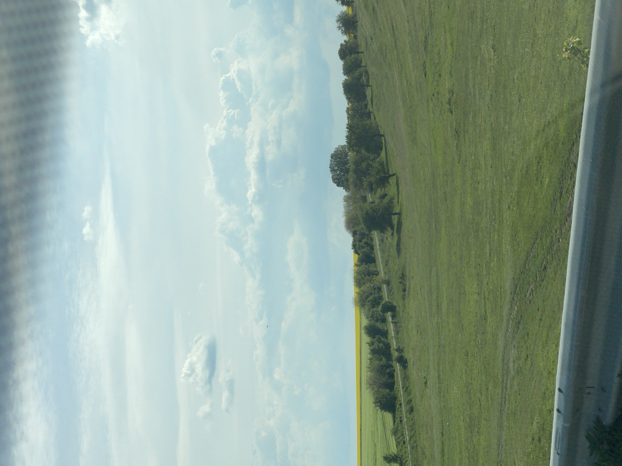 The image captures a rural landscape likely taken from a moving vehicle. A vibrant green field stretches into the distance, bordered by a row of trees and a strip of yellow flowers, possibly rapeseed. Fluffy white clouds fill a bright blue sky. A metallic guardrail partially obscures the right side of the frame. On the left, a mesh obscures the image. The location is likely near Glodjevo, Bulgaria, based on the prompt. There are no people visible.