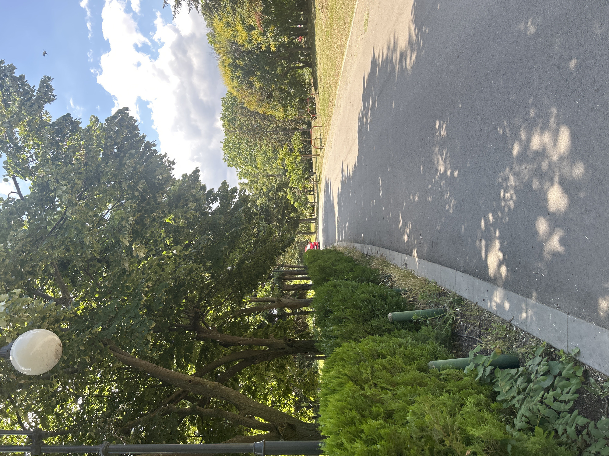 The image depicts a park path on a sunny day in Varna, Bulgaria. Tall, leafy trees line the left side of the asphalt path, casting dappled shadows on its surface. A white, spherical lamppost is visible on the far left. Dense green bushes are planted along the right edge of the path, bordering a grassy area. In the distance, a few red structures, possibly benches or decorative elements, are visible among the trees. The sky is blue with scattered white clouds, indicating fair weather. The scene evokes a sense of tranquility and pleasant outdoor recreation. The image is taken from a slightly low angle, looking down the path. There is no visible text in the image.