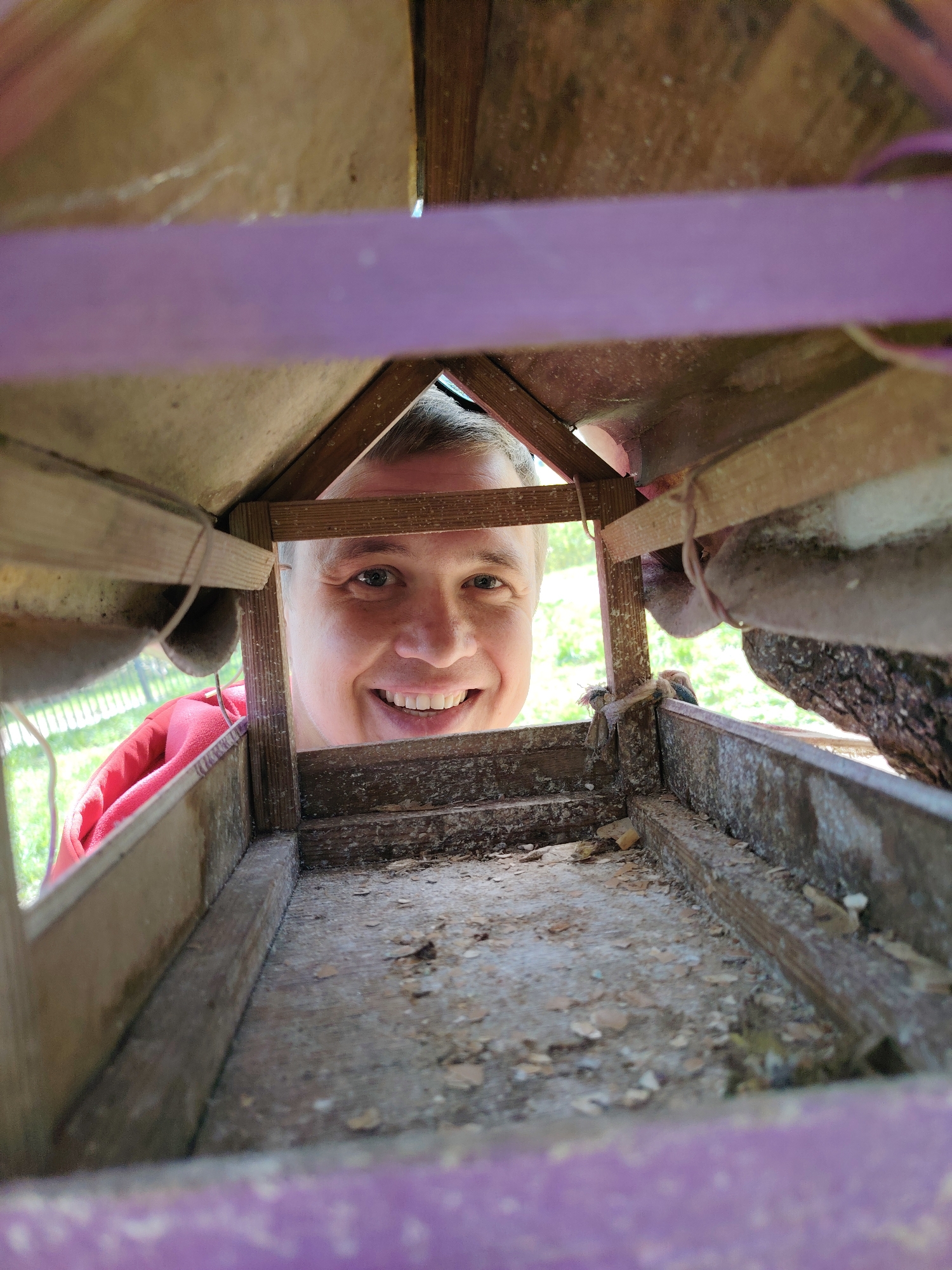 A person with fair skin, short light-colored hair, and a bright smile is looking into the lens of the camera through an opening in what appears to be a weathered wooden birdhouse. The birdhouse is constructed of light and dark wood, with traces of purple paint on some exterior surfaces. The inside of the birdhouse is dusty and contains wood shavings. The person's face is the clearest part of the image, and glimpses of a red garment can be seen along the edge of the birdhouse. The background appears to be out of focus, showing green foliage and possibly a fence. There is no direct indication of the specific city (Chaikovsky, Russia) or any interaction or action taking place beyond the person looking into the birdhouse.
