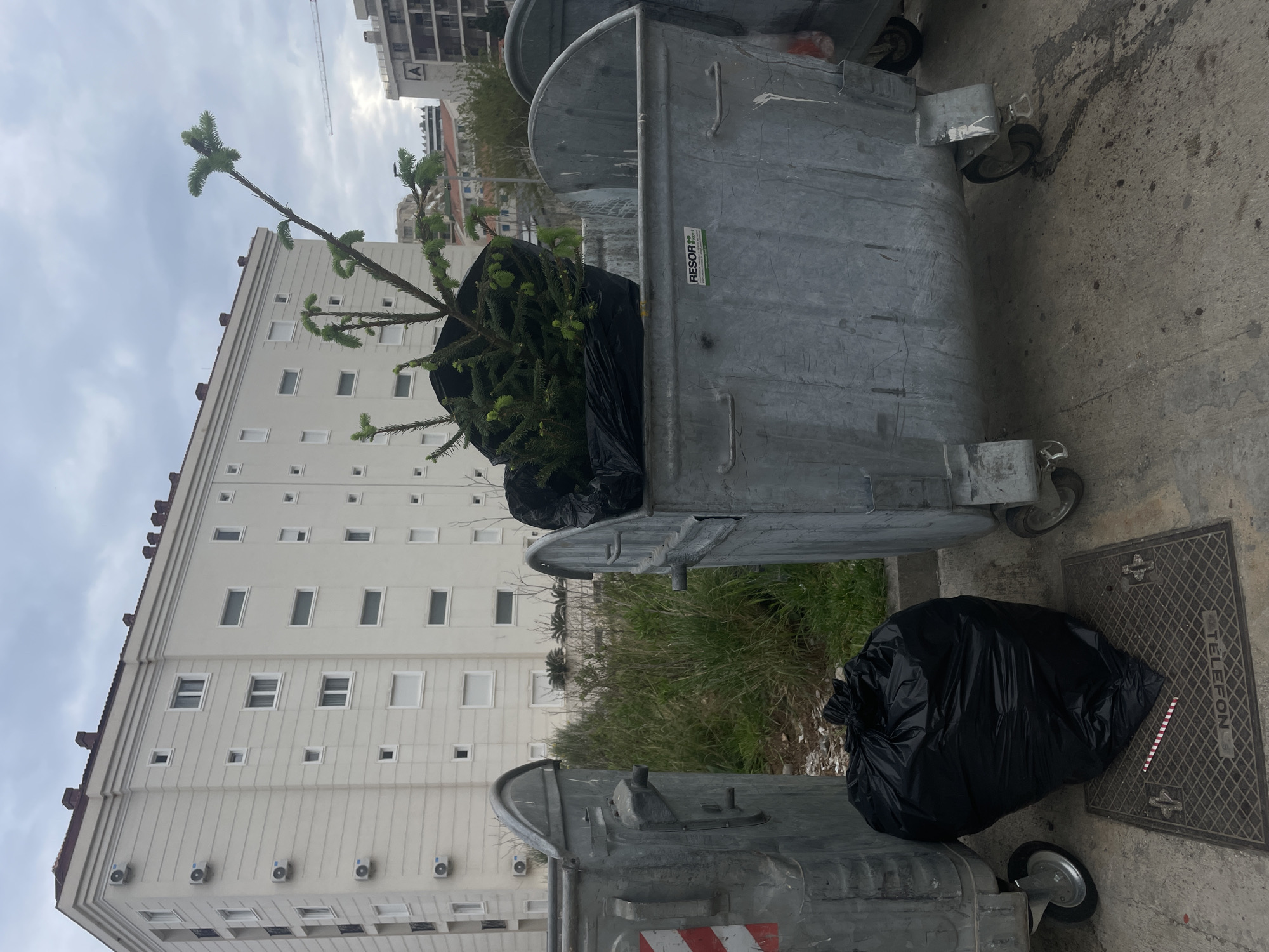 The photograph captures a waste disposal scene in Boreti, Montenegro. A large, galvanized metal dumpster stands on a concrete surface adjacent to a sidewalk or paved area. The dumpster is partially filled with a discarded Christmas tree placed inside a black plastic bag, some branches protruding from the top. Another black plastic bag filled with waste is positioned near the dumpster's base, close to a manhole cover with "TELEFON" inscribed on it. In the background, a multistory residential building with numerous windows and air conditioning units is visible, suggesting an urban setting. The sky is overcast, hinting at a dreary weather condition. The image depicts the disposal of seasonal waste and typical features of an urban residential environment in Boreti.