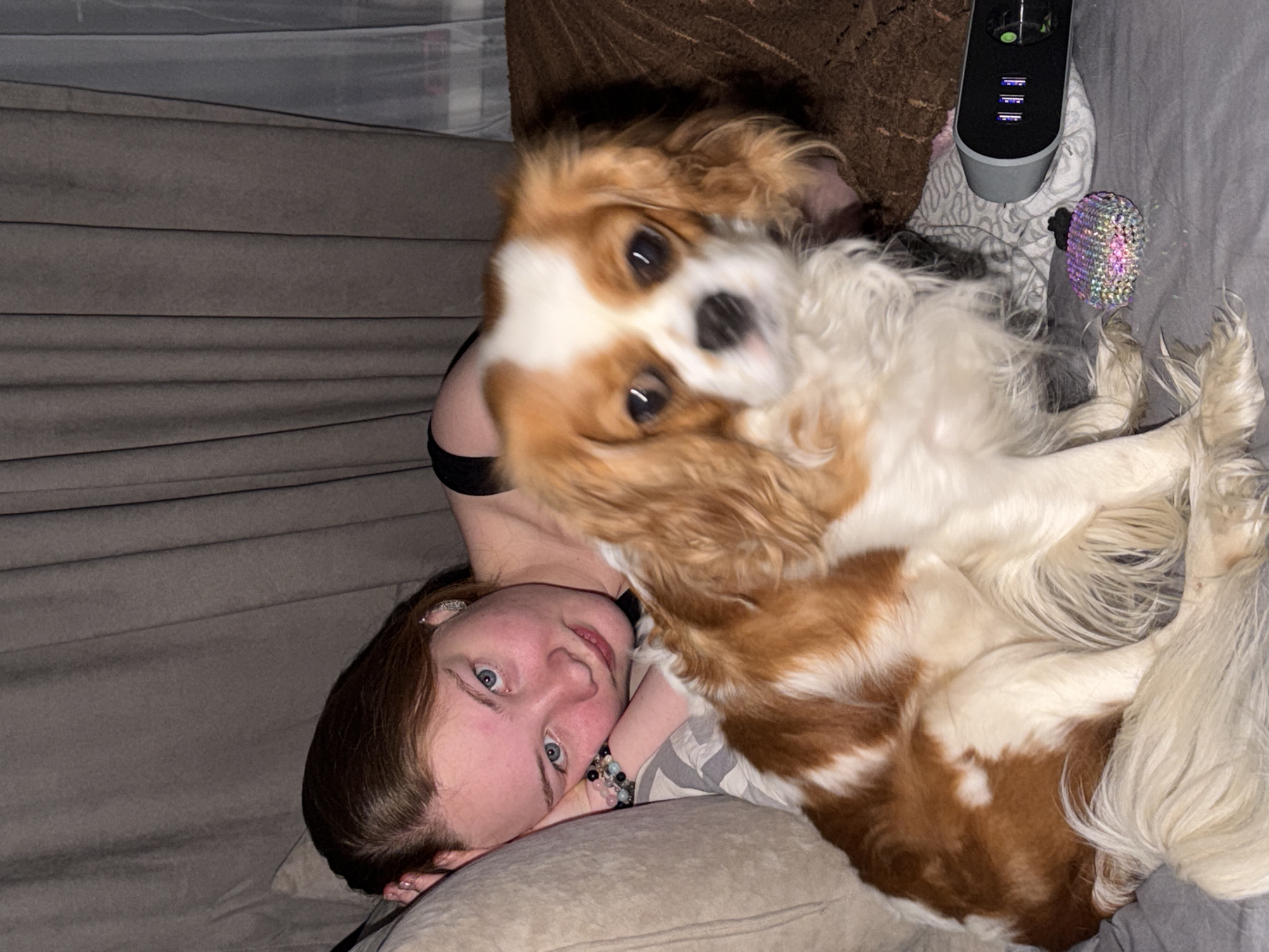 The image shows a woman and a Cavalier King Charles Spaniel lying on a gray upholstered surface, likely a bed or couch. The woman, positioned on the left side of the frame, has fair skin, brown hair, and blue eyes. She is looking at the camera with a slight smile. She appears to be wearing a black top with a hint of gray striped fabric underneath, and a bracelet is visible on her left wrist. The dog is lying diagonally across her chest, facing the camera with a tilted head. Its fur is a mix of white and chestnut brown. In the background, there's a textured gray headboard and a brown textured object. Also, there are what appears to be electronics with USB ports and a sequined item. The location details for the city of Chaikovsky, Russia, cannot be verified from the image.