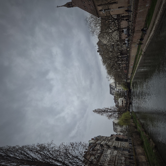 The image depicts an urban river scene in Strasbourg, France, under an overcast sky. The Ill River flows from the background towards the viewer.
On the left bank, a tall, slender deciduous tree with bare branches dominates the immediate foreground. Behind it, a row of multi-story classical-style buildings with ornate facades lines the river, separated by a stone embankment with sparse green growth. Further downriver, additional buildings and a smaller tree are visible.
In the mid-ground, a stone arch bridge crosses the river.
On the right bank, a stone embankment extends along the river. At least five individuals are visible on a lower stone ledge next to the water, some seated, some standing. Above this, a paved pathway or street is lined with mature deciduous trees, mostly bare-branched. Behind the trees, several multi-story buildings are present, and multiple vehicles (cars) are parked or moving. Additional pedestrians are visible on the street and sidewalk. Further right, a prominent church structure with a reddish-tiled roof and a slender, pointed spire is visible, identified as Saint Paul's Church or a similar historic religious building in Strasbourg.
The sky is uniformly overcast and light grey, indicating a cloudy day. The river surface is dark and calm, reflecting the subdued light. The overall scene suggests late winter or early spring due to the bare trees.