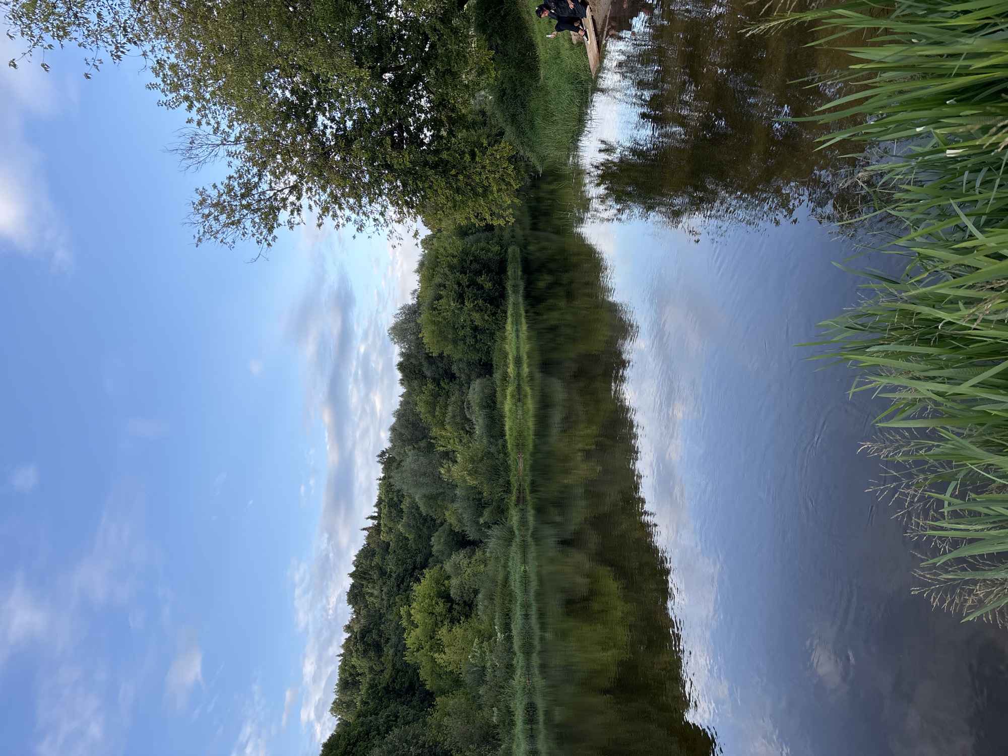 A tranquil river scene unfolds in Zvenigorod, Russia, under a partly cloudy sky. The water's surface reflects the lush green trees lining the opposite bank and the scattered white clouds above. On the right bank, a person is seated on a wooden plank, holding a phone. Tall green grass grows along the immediate foreground of the riverbank. The overall impression is one of peaceful natural beauty.