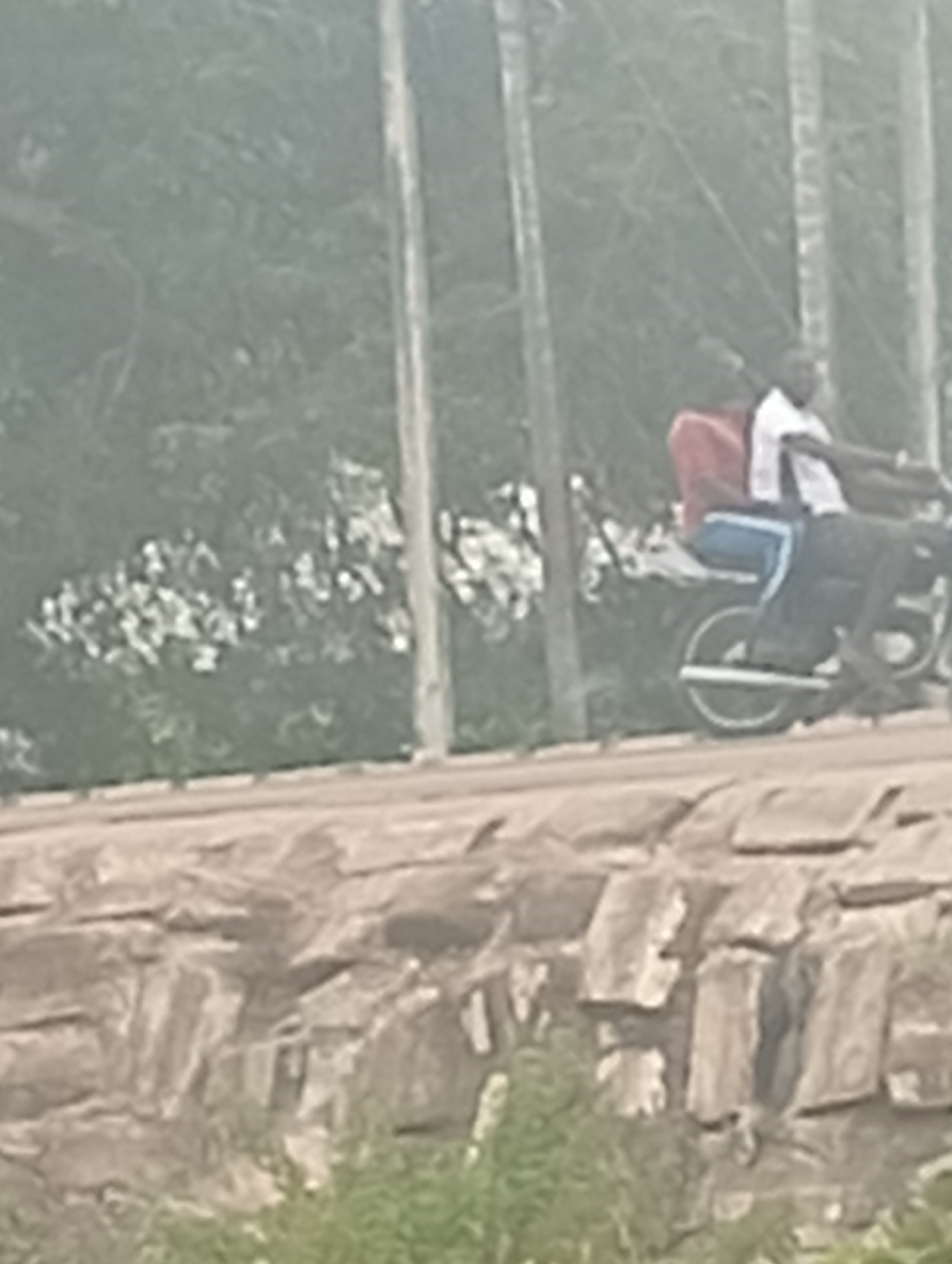 Two individuals are riding on a motorcycle. The person in front is driving, and the person in the back is wearing a red jacket. They are on a paved road, with a stone wall to the right and foliage in the background. The image is taken from a slightly elevated perspective.