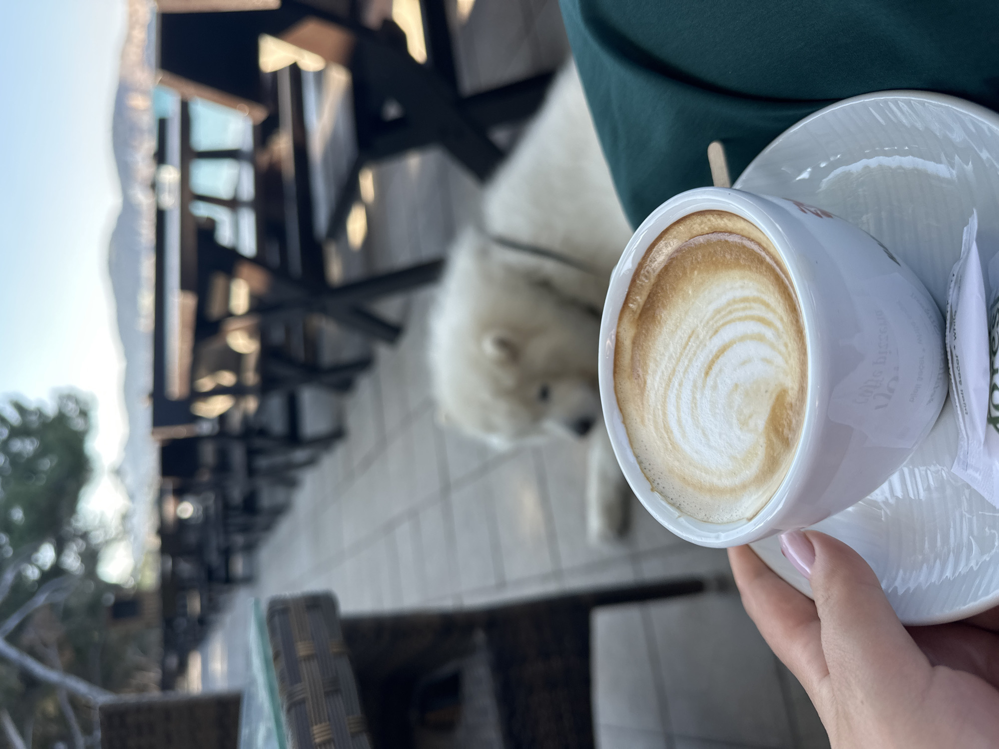 A person is holding a cup of coffee with latte art in their right hand, with a saucer underneath. Behind the cup, out of focus, is a white dog with its head slightly down. The background consists of wooden decking, presumably part of a terrace or outdoor seating area. To the left, and further out of focus, is a glimpse of what appears to be the coastline or sea, partially obscured by trees and potentially buildings. The image was taken in Šušanj, Montenegro.