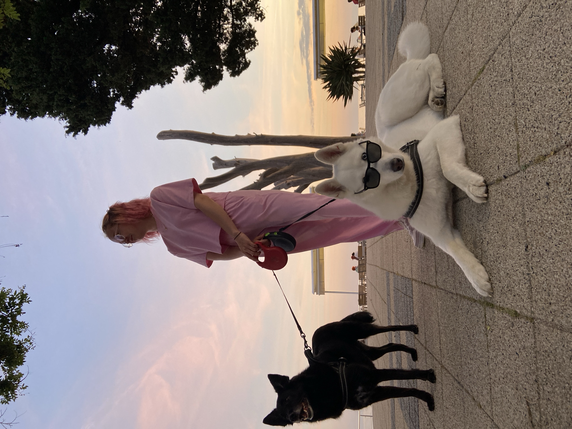 A photograph taken in the city of Bar, Montenegro depicts a woman, likely in her twenties, with light skin and pink hair, dressed in a pink shirt-dress, holding a red retractable dog leash attached to a black dog with its mouth open, positioned on a walkway. Beside her is a white dog wearing sunglasses, lying on the same walkway which appears to be made of concrete or stone. The walkway is adjacent to a railing offering a view of the horizon over the sea. The sky is a blend of light blue and sunset hues. Trees and driftwood-like objects are visible in the background. The photograph appears to be taken at ground level with a slight upward angle, capturing the sky and immediate surroundings.