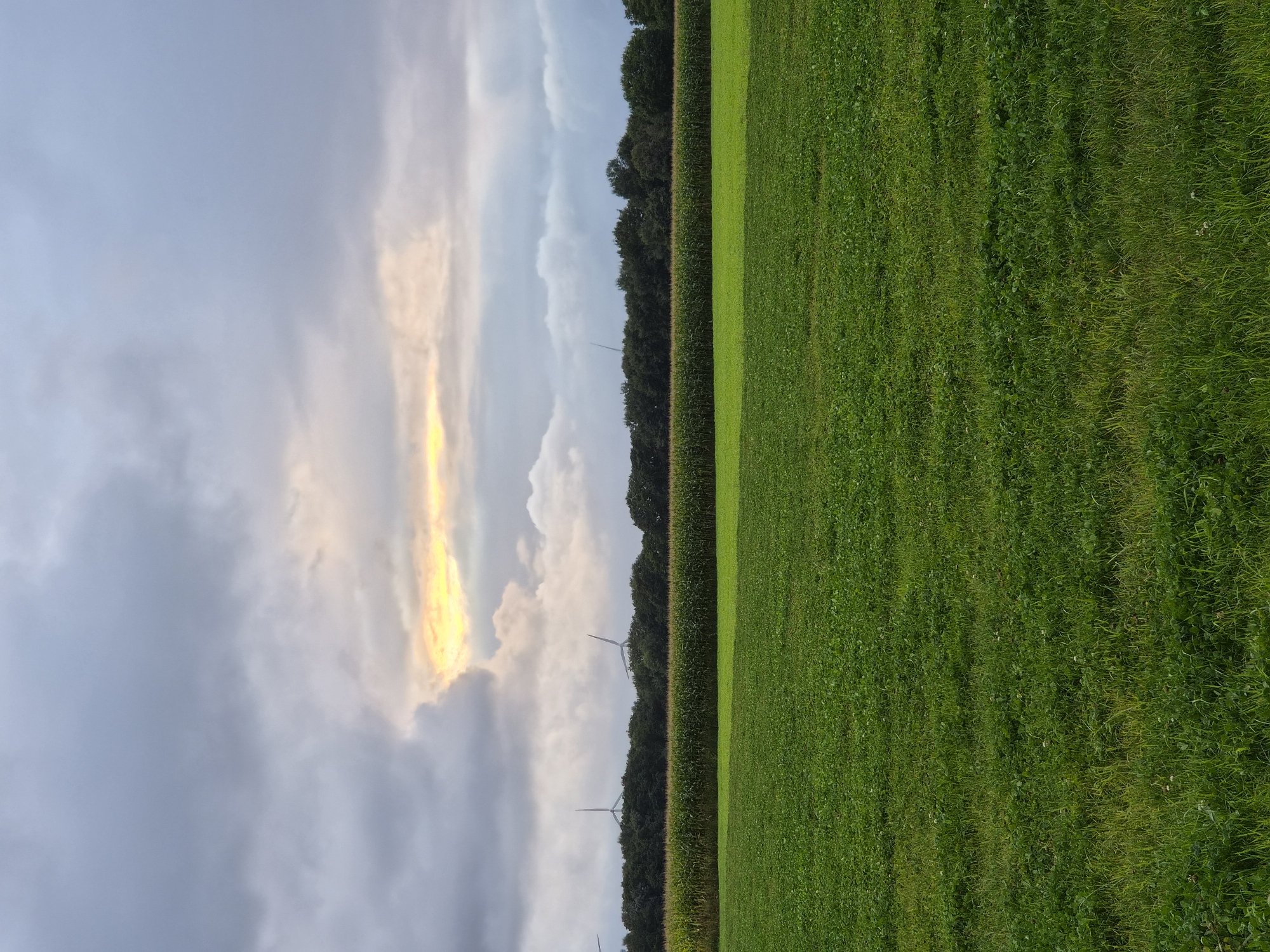 This is an outdoor, vertical, eye-level, full shot of a field under a cloudy sky, located in Schiffdorf, Germany. The image is divided into three horizontal sections: the sky, the treeline with windmills, and the fields in the foreground. The sky is predominantly gray with a prominent gap showing a bright yellow-orange light, suggesting it might be sunrise or sunset breaking through the clouds. The treeline in the middle ground is dark green and dense, with the tops of several wind turbines visible above it. The foreground consists of two distinct green fields. The lower field is a vibrant, lush green with a visible texture, while the field directly behind it is a slightly darker shade of green and appears flatter. There are no people or animals visible in the scene.