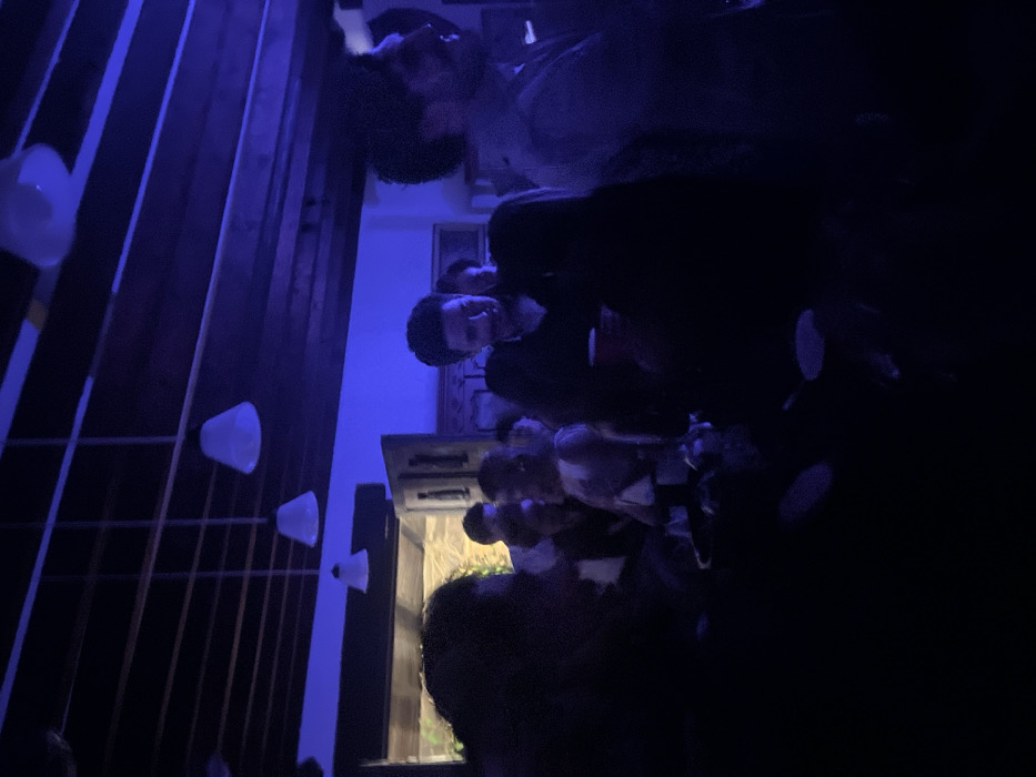 The image captures an indoor social gathering under low, blue ambient lighting in Ocoyoacac, Mexico. The ceiling features dark wooden beams with three white, bell-shaped pendant light fixtures suspended at varying heights. In the background, a doorway with light-colored wooden panels opens to an exterior stone wall.
Multiple individuals are present, standing in a confined space. In the midground, slightly off-center, a male with dark hair and a dark collared shirt is visible, looking downwards and to his left. He holds a red plastic cup in his left hand. To his immediate right, another male with dark, curly hair and a beard is seen in profile, facing towards the right side of the frame. To the left of the central figure, a person with lighter hair and a light-colored top is partially visible, facing slightly right. The immediate foreground on the left is dominated by the dark silhouette of an individual's head and shoulder. Other figures are partially obscured by darkness and other attendees throughout the scene. The overall environment suggests a casual event or establishment.