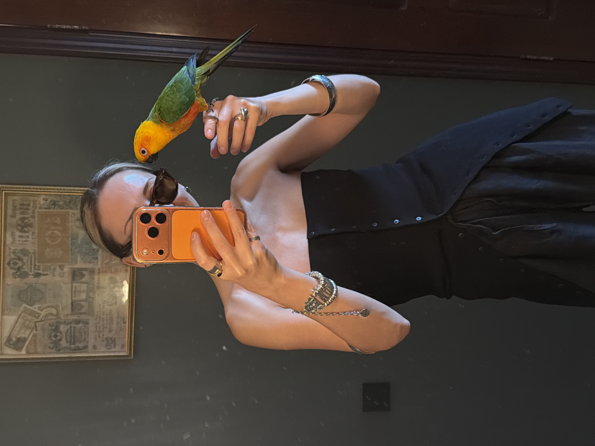 The image is a mirror selfie taken indoors, depicting an adult individual, appearing to be female, partially obscured by a bright orange-cased smartphone held in her left hand. She wears dark, oval-shaped sunglasses and a strapless black garment with a buttoned front. A vibrant Sun Conure parrot, with a yellow head and chest, orange belly, and green wings, is perched on her outstretched right hand, facing towards the left.
The individual wears multiple rings on both hands, including a dark ring with gold accents on her left index finger and a silver band on her right middle finger, along with another ring featuring a green stone on her right ring finger. Her left wrist is adorned with a multi-strand silver-toned bracelet featuring beads and a dangling circular charm. A wider, patterned silver-toned cuff bracelet is visible on her right forearm.
The background consists of a dark, possibly dark gray or green, wall. Above the individual's head, a framed piece of art resembling a collage of old, faded documents or currency is hanging. To the right of the frame and the individual, a dark wooden door frame or panel is partially visible.
There are no discernible visual cues within the image to indicate the location is the city of Khimki, Russia, or any specific geographical location.