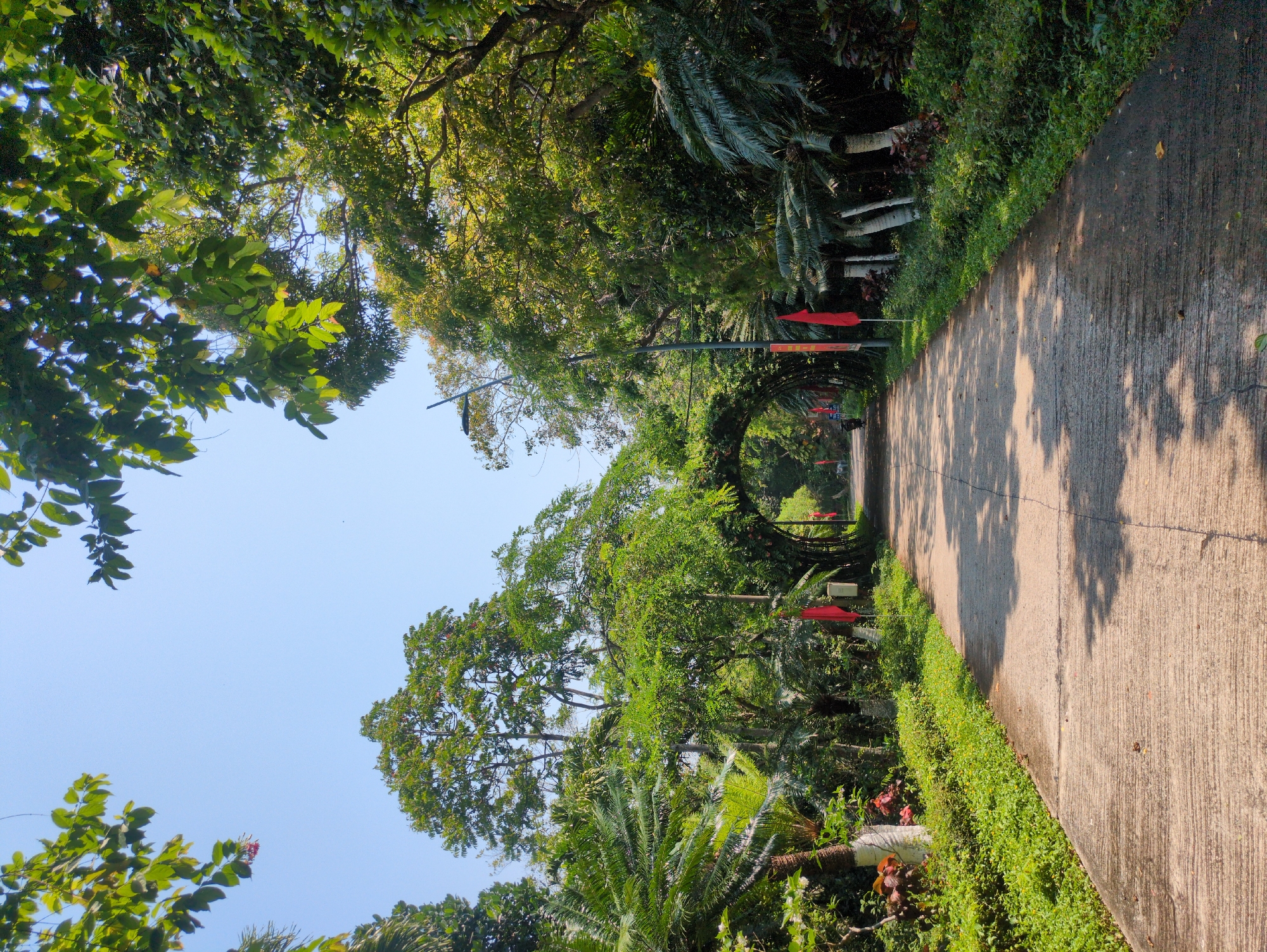 The image shows a concrete path winding through a lush, green environment. The path is lined with manicured bushes and trees, creating a tunnel-like effect overhead. Occasional red flags are visible along the path. The scene appears to be in a park or garden. Given the location of Tuy Hòa, Vietnam, the image might depict a local botanical garden, park trail, or similar green space. There are no people or explicit actions visible in the scene.