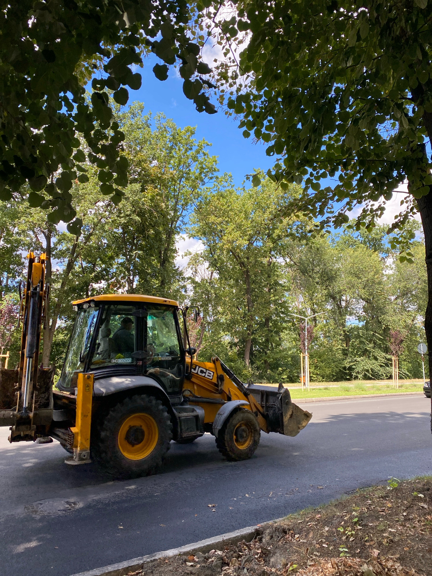 A yellow JCB backhoe loader is parked on an asphalt road, with its front loader arm raised and bucket lowered. The machine is positioned on the right side of the road, facing left. The operator, wearing a dark shirt and cap, is visible inside the cab. Trees with green foliage line the road on both sides, with a clear blue sky visible above. In the background, a street light and some saplings are present. The scene suggests ongoing roadwork or construction in a suburban or park-like area. The exact location in Chișinău, Moldova cannot be determined from the image alone.