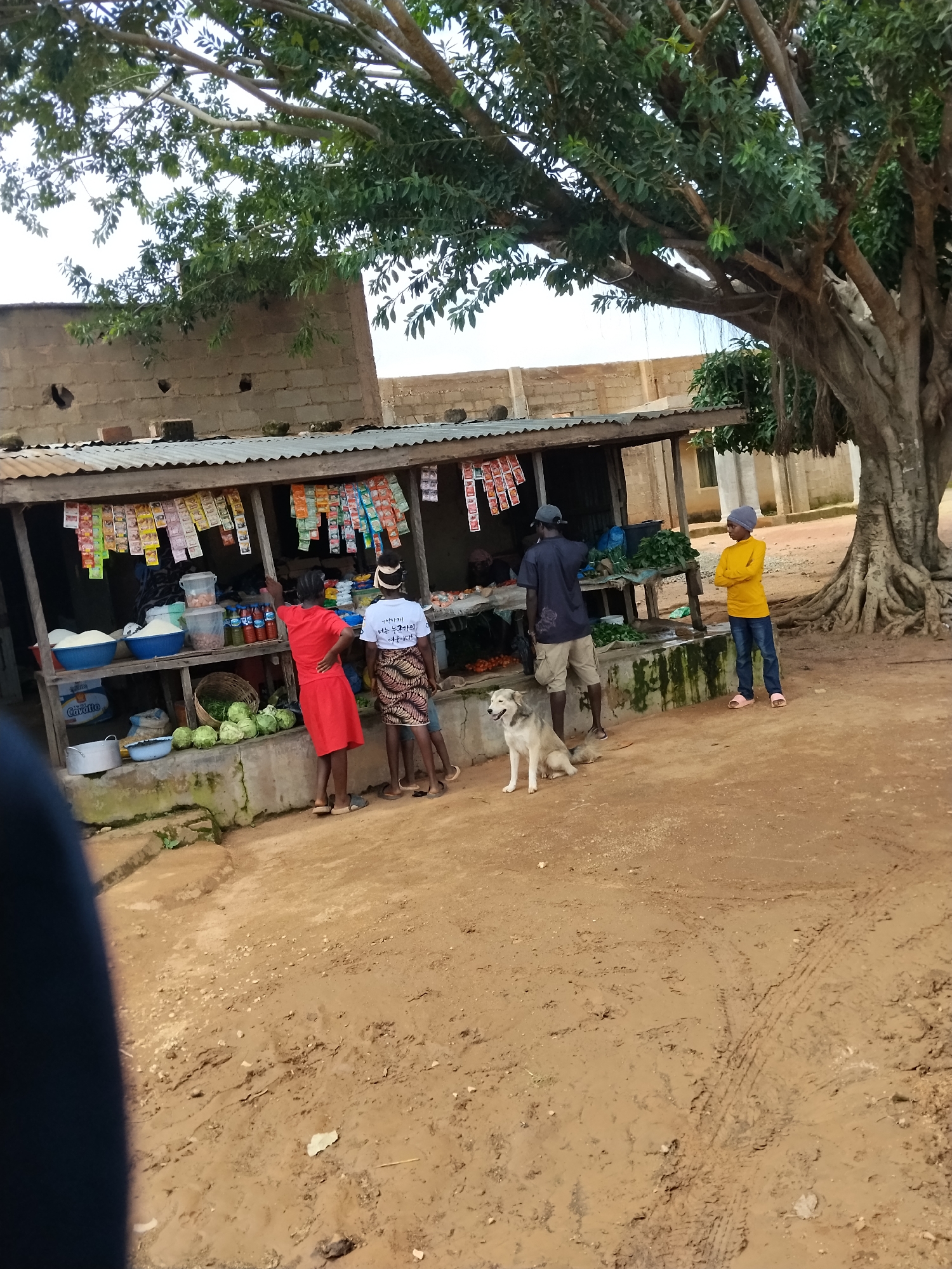 The image depicts an outdoor market stall in Nabatum, Nigeria. A makeshift shelter with a corrugated metal roof displays various goods, including bags of rice or grain, bottles, and numerous small packets of what appear to be spices or seasonings. A few individuals are present: a woman in a red dress is interacting with the stall owner or another person behind the counter, a person in a white t-shirt and patterned skirt is standing near the stall, and a person in a yellow shirt and blue jeans stands to the right. A dog is seated in the dirt in front of the stall. The stall is situated on a dirt ground, with a large tree with exposed roots dominating the right side of the frame. The background shows a brick building. The overall scene is a snapshot of everyday commerce in a Nigerian setting.