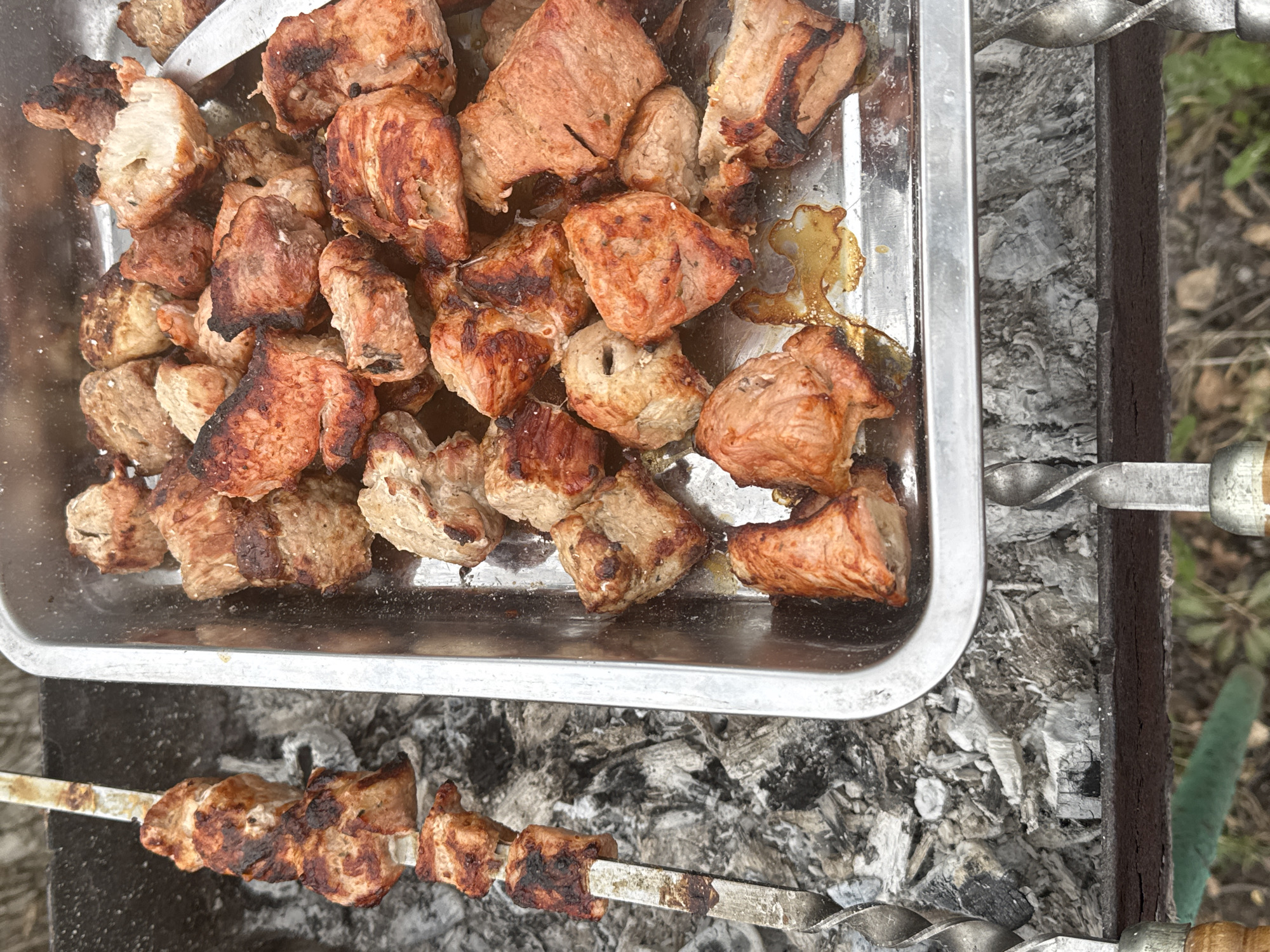 The image displays an outdoor cooking scene, likely in Сульмаш, Russia, featuring grilled meat, commonly known as shashlik or kebabs. The main subjects are numerous pieces of pork or similar red meat, cut into cubes. A significant portion of the cooked meat is gathered in a rectangular, silver-colored metal tray, showcasing varying degrees of browning and charring, along with some visible cooking juices.
Below the tray, a metal skewer is visible, holding several pieces of meat that appear to be actively grilling or recently removed from the heat. Another skewer's handle is partially visible on the right side of the frame, indicating more meat being cooked. These skewers rest over a bed of grey and black ashes, evidence of a brazier or mangal, confirming an outdoor barbecue setting. The background consists of blurred organic textures, including hints of green foliage and brown ground, further emphasizing the outdoor environment.
The scene is well-lit, suggesting daytime. No people are visible, but the prepared food and active grilling imply a social gathering or meal preparation. There is no visible text in the image. The overall impression is one of rustic, communal cooking and enjoying freshly grilled meat.