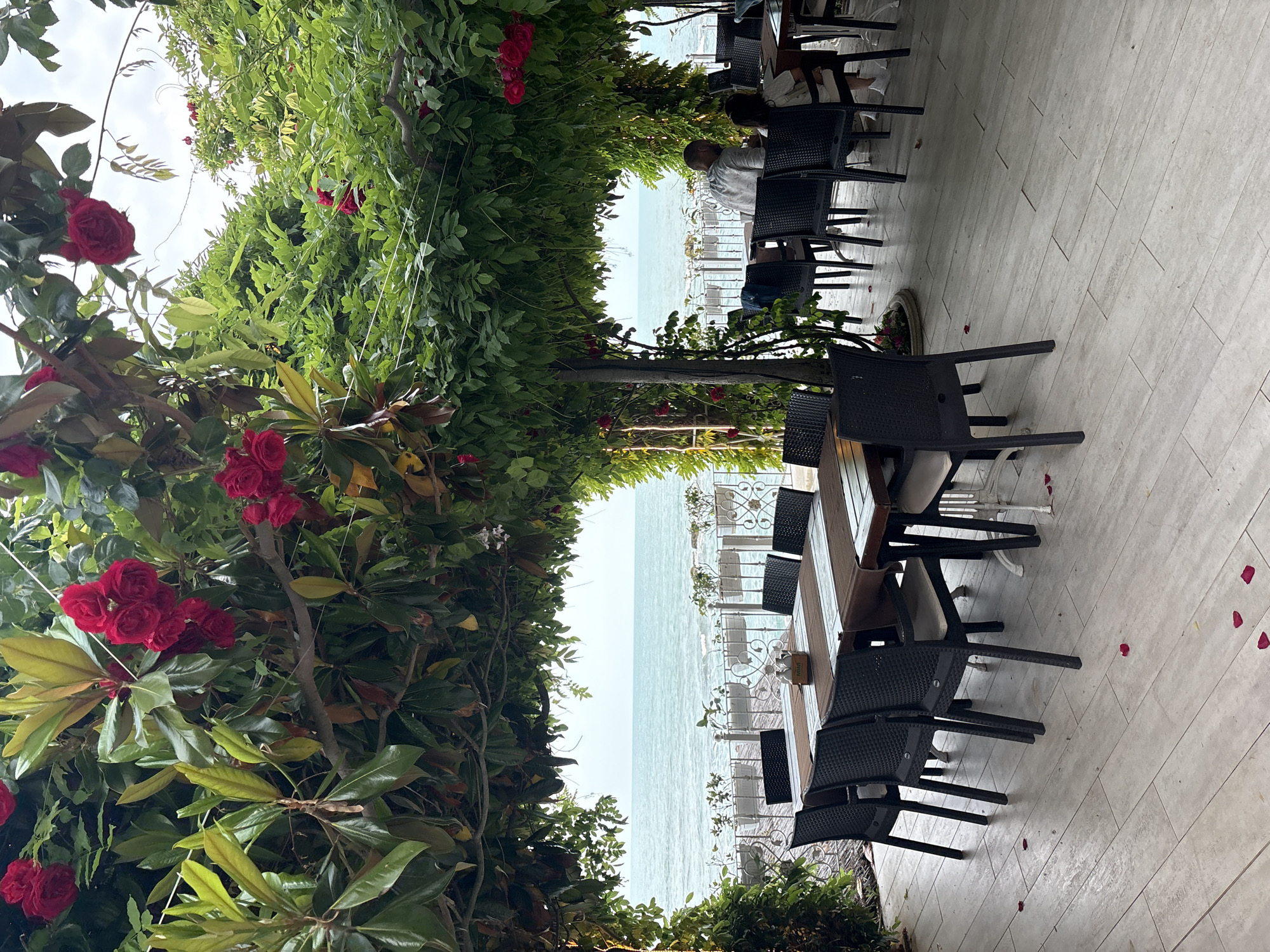 The image depicts an inviting outdoor patio dining area, viewed from beneath a lush, rose-covered canopy. The scene overlooks a vast body of calm water, likely a sea or large lake, under a bright, possibly overcast, daytime sky.
The main subjects are the outdoor furniture and the natural greenery. The patio floor is covered with light-colored, rectangular tiles, some of which have scattered red rose petals. Several dark-colored, possibly wicker-style, chairs and sturdy wooden tables are arranged on the patio. One table has a white rectangular object with the text "ORSU" printed on its side. A decorative white metal railing separates the dining area from the water's edge.
Providing shade and ambiance is a dense canopy of green foliage, heavily interspersed with numerous clusters of vibrant red roses. This forms a natural archway or ceiling over the seating area.
At least two people are visible seated at one of the tables in the mid-ground. One individual, wearing a light-colored top, is seen from behind, looking out towards the water, suggesting they are enjoying the view or engaged in a meal. Another person's arm is partially visible next to them.
The activity taking place is likely dining or casual relaxation in an outdoor restaurant or cafe setting. The presence of rose petals on the ground and the comfortable seating contribute to a pleasant and romantic atmosphere. The clear lighting indicates daytime, likely late morning or early afternoon. The location appears to be a picturesque, waterside spot, possibly in a warm climate.