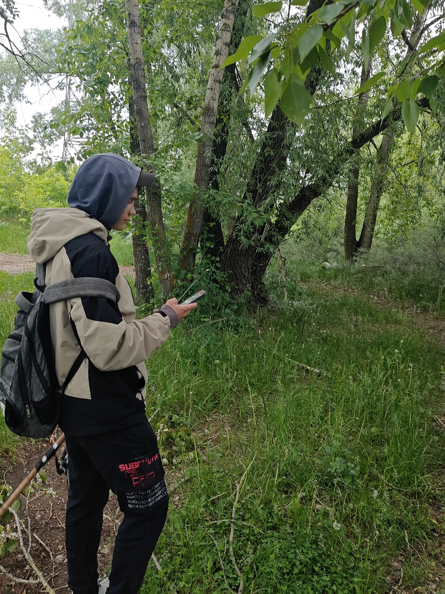 The image depicts an outdoor scene in a densely vegetated area, identified as being in the city of Chaikovsky, Russia. A young individual, likely male, is positioned slightly to the left of the frame's center, facing right in profile.
The individual is wearing a dark gray hoodie pulled over their head, beneath which a dark gray baseball cap is visible. They are dressed in a two-tone jacket, light tan/beige on the upper section and black on the lower half and sleeves. A dark gray backpack is worn on their left shoulder, with a connecting strap extending across the chest. Black cargo-style pants feature a red and white textual patch on the left thigh, displaying "SUBURBAN" at the top, followed by repeated lines of text that begin with "PAUNICH IS NOT ABOUT CHASIN OCEN..." The lower portion of white sneakers is partially visible on their feet. The individual's gaze is directed downwards at a smartphone held horizontally in both hands, its screen illuminated. A long, thin stick or branch is visible leaning against their left leg.
The environment is characterized by lush green foliage. The ground is covered with tall grass, interspersed with patches of dandelions and sparse undergrowth. Several deciduous trees with varying trunk textures and bark colors (some light and smooth, others dark and furrowed) are present throughout the scene, creating a dense canopy. The background to the far left shows a lighter, possibly open area with hints of a dirt path and a metallic structure, possibly a power line tower, faintly visible through the trees. The lighting is diffuse, indicative of an overcast sky.
