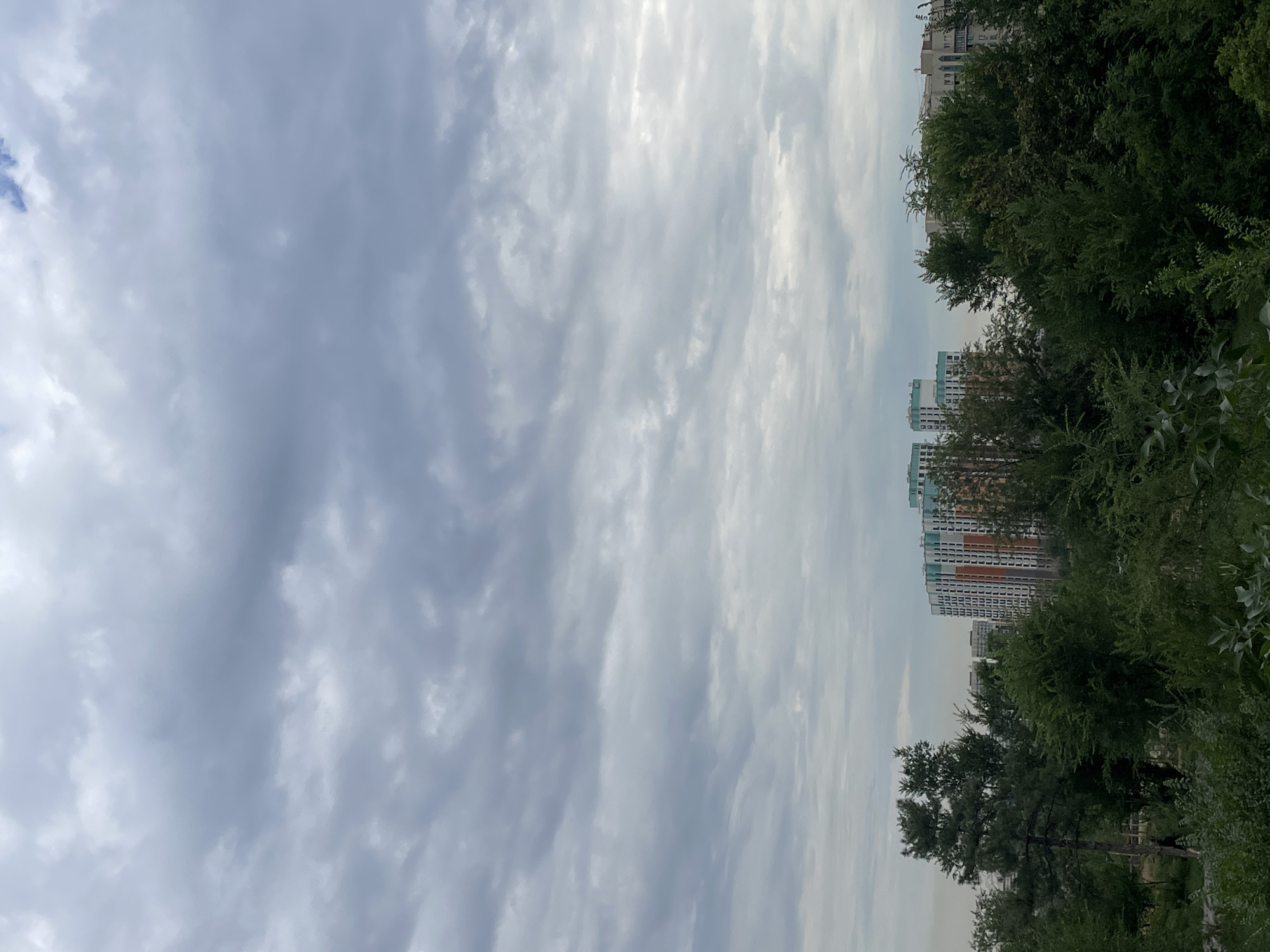 The image depicts an overcast sky above a dense green tree line. Behind the trees, several residential buildings are visible. The buildings on the left are shorter and have light blue and orange facades. Further to the right, a taller building with numerous windows and a light beige facade is seen, along with other structures in the background. The foreground is dominated by lush green foliage and trees. The sky is filled with gray and white clouds, indicating cloudy weather. The scene appears to be in a residential area of Almaty, Kazakhstan, with the buildings suggesting urban development amidst greenery. There are no visible people or animals in the frame.