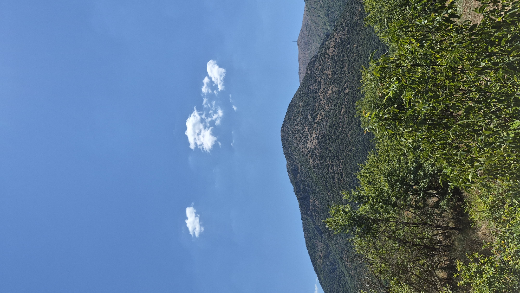 A vertical shot captures a bright blue sky with a few scattered white clouds. Below the sky, a large, green, and rocky mountain dominates the mid-ground, with a smaller, tan-colored mountain visible behind it to the right. The foreground is filled with lush green trees and foliage.