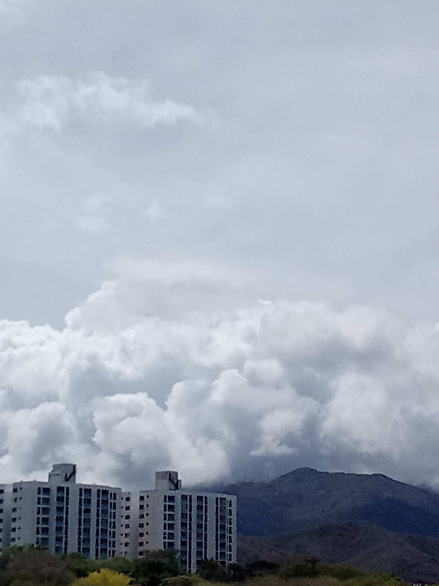 The image shows two high-rise buildings situated in Juan Griego, Venezuela. The buildings are light gray with multiple windows and appear to be residential. Lush green trees and shrubs are present in the foreground. Behind the buildings, dark, sloping mountains rise into the background. The sky is overcast with heavy, gray clouds that dominate the upper portion of the image.