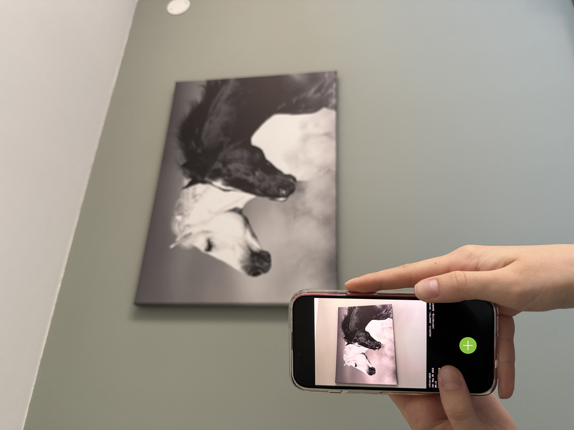 A person is holding a phone to photograph a framed print of two horses, one black and one white, overlapping each other. The print is hanging on a light green wall. The phone screen shows a similar image of the horses and the phone's camera interface. There is a white ceiling with a light fixture visible in the upper left of the frame.