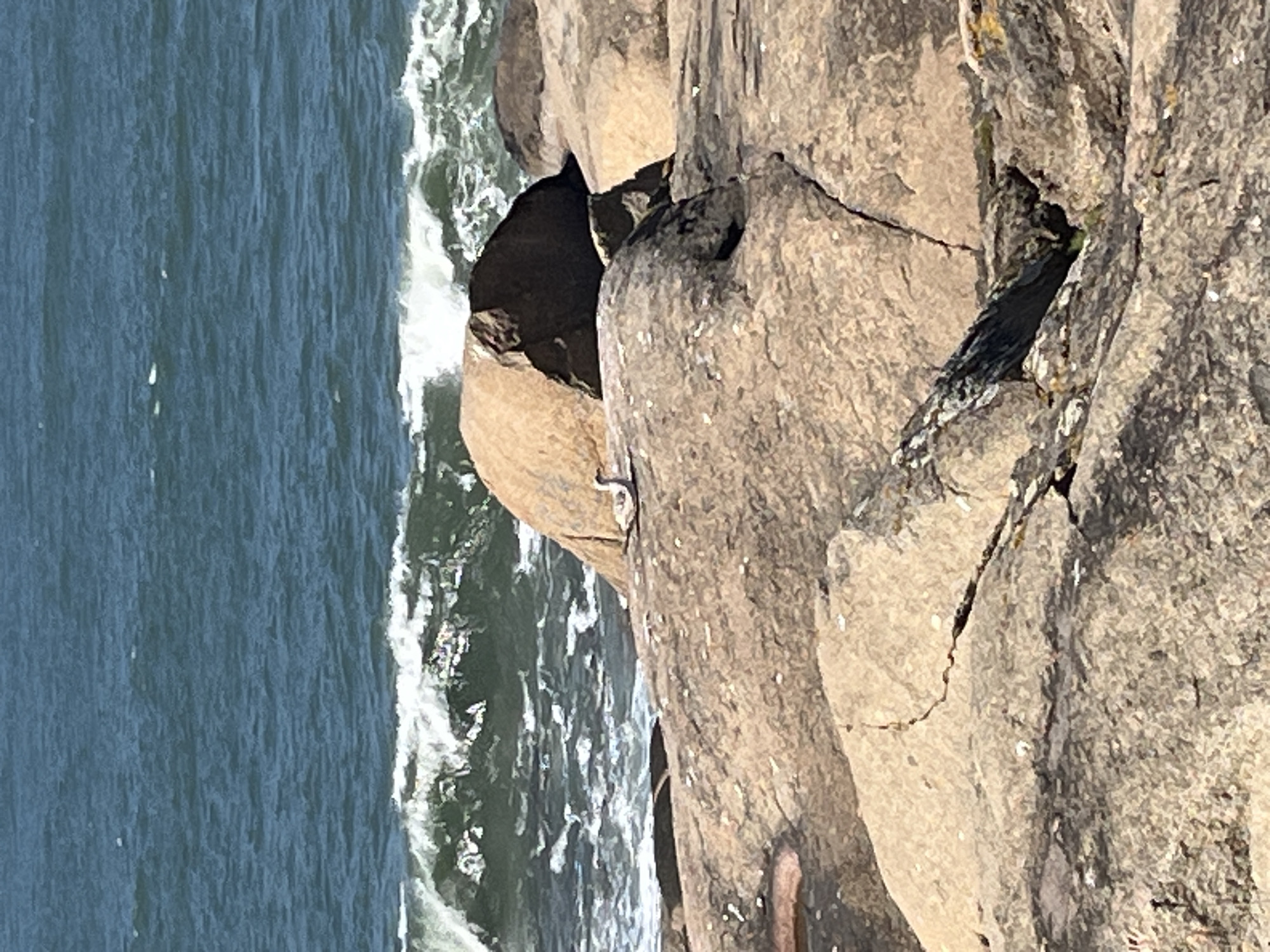 The image shows a rocky coastline next to water. The rocks are light brown and gray, with cracks and crevices. The water is dark blue with white waves. The photograph appears to be taken from a high vantage point, looking down on the coastline. The image likely depicts the coastline of Vila Nova de Gaia, Portugal, which is known for its rocky beaches.