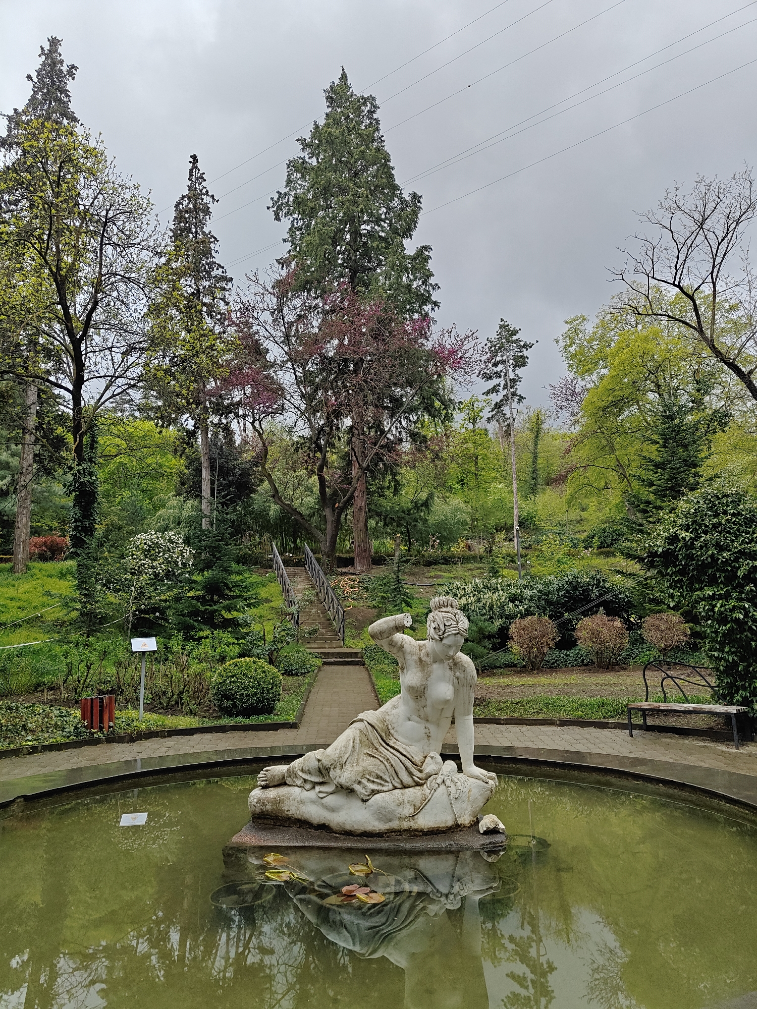 This photograph depicts a tranquil garden scene in Tbilisi, Georgia, under an overcast, grey sky. In the foreground, a classical white marble statue of a reclining female figure, possibly a nymph or goddess, is positioned at the edge of a circular fountain. The fountain water is murky and greenish, reflecting the surrounding trees and containing some floating leaves or debris.
The scene is rich with diverse vegetation. Tall coniferous trees and deciduous trees with vibrant new spring-green leaves dominate the background and midground. Some trees also display reddish-pink blossoms, suggesting the season is spring. Lush green grass and various bushes, some with dormant brown foliage, fill the landscape.
Paved pathways encircle the fountain, and stone steps with wooden railings ascend a verdant hillside in the distance, leading further into the garden. A dark metal park bench is visible on the right side of the fountain area. Overhead, thin power lines stretch across the cloudy sky. Two small white informational signs are present; one on a post beside a pathway to the left, and another partially submerged in the fountain water, but their text is illegible. No specific activity or event is taking place, and the scene conveys a peaceful and natural ambiance typical of a botanical garden or large park.