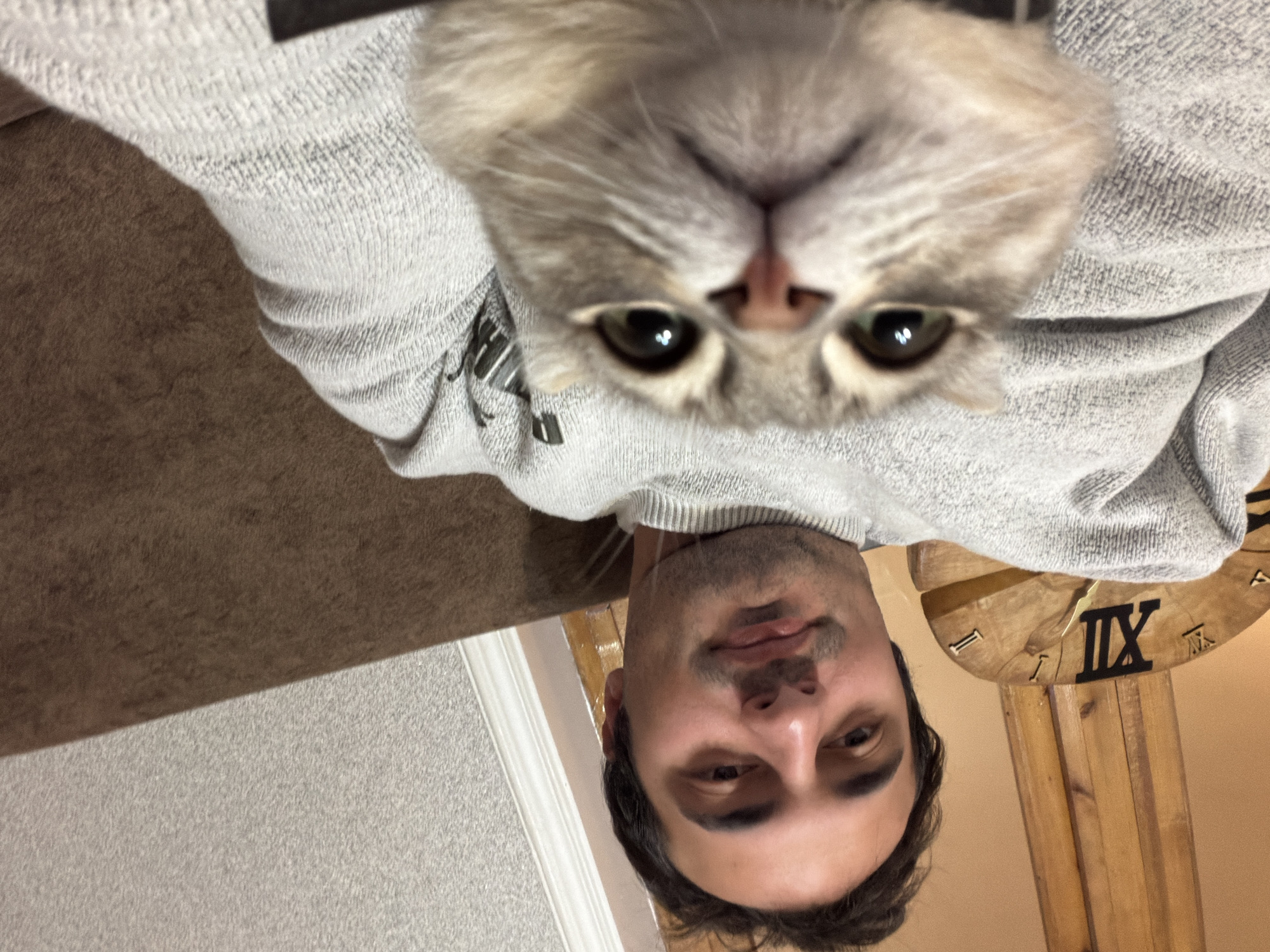 The image shows a man holding a cat close to his face. Both are looking directly into the camera. The man has dark hair, fair skin, and stubble. The cat is grey and white with large, round eyes. They are both wearing a grey sweatshirt. In the background, there is a brown sofa, light grey textured wall, and a wooden clock. The location of Novxanı, Azerbaijan cannot be determined from the image.
