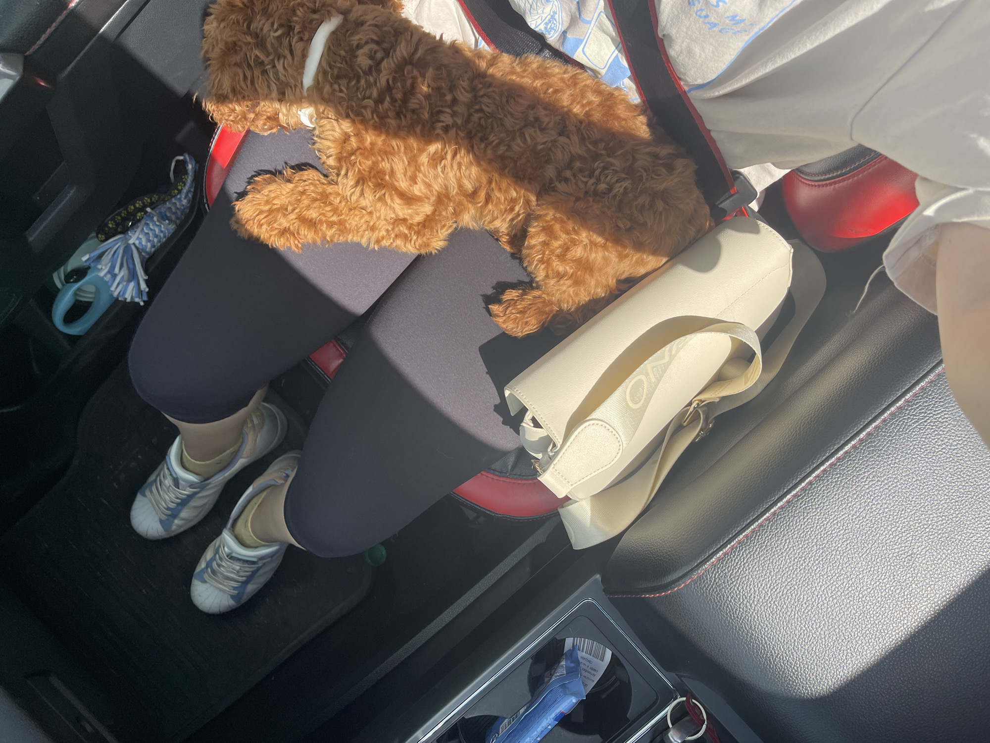 The image shows the interior of a car, focusing on the passenger seat area. A person wearing black leggings and light blue and white Adidas sneakers is sitting in the passenger seat. A small, brown dog is lying across the person's lap. A cream-colored purse is beside the person on the seat. Inside the center console are keys and a wrapper for a blue packet of peanuts. The location in the city of Sofia, Bulgaria, cannot be determined from this image.