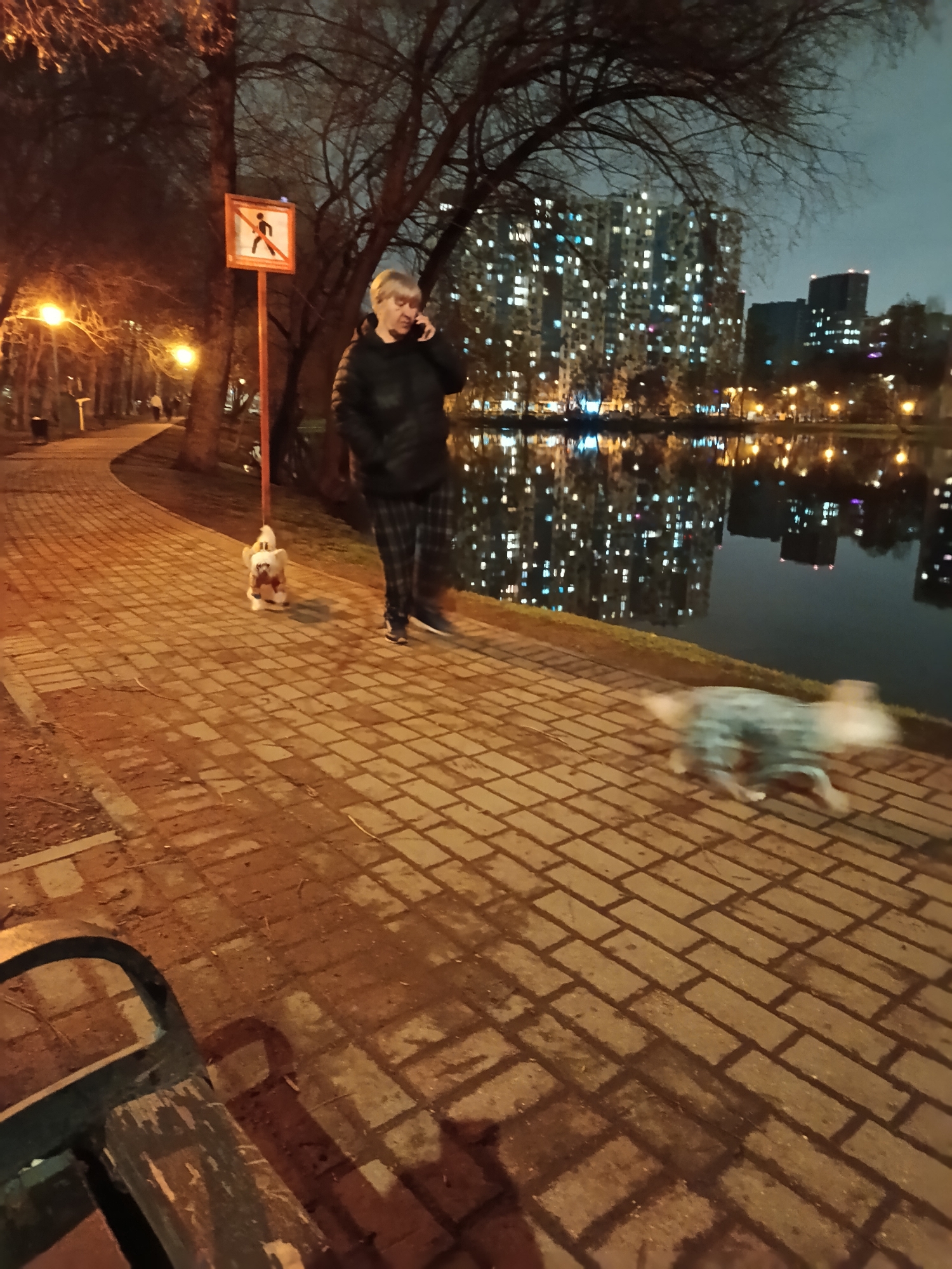 The image depicts a nighttime scene in a park in Moscow, Russia, along a paved pathway next to a body of water. A fair-haired woman, wearing a dark puffer jacket and plaid pants, is visible talking on her mobile phone. She is accompanied by two dogs: one small, light-colored dog on a leash is standing still near her, while another dog, appearing to wear a patterned garment, is blurred by motion as it runs in the foreground on the pathway.
To the woman's left, a sign with a red circle and diagonal line over a stick figure indicates a "no entry" or "no walking" restriction. The path is illuminated by several streetlights, casting a warm, orange glow on the brick-patterned ground and the bare-branched trees lining the walkway. In the background, numerous high-rise apartment buildings with brightly lit windows are reflected on the calm surface of the water, creating a vibrant urban nightscape. A part of a wooden park bench is visible in the lower-left foreground. The overall impression is of an evening stroll in a city park with a view of illuminated buildings across a lake or river.