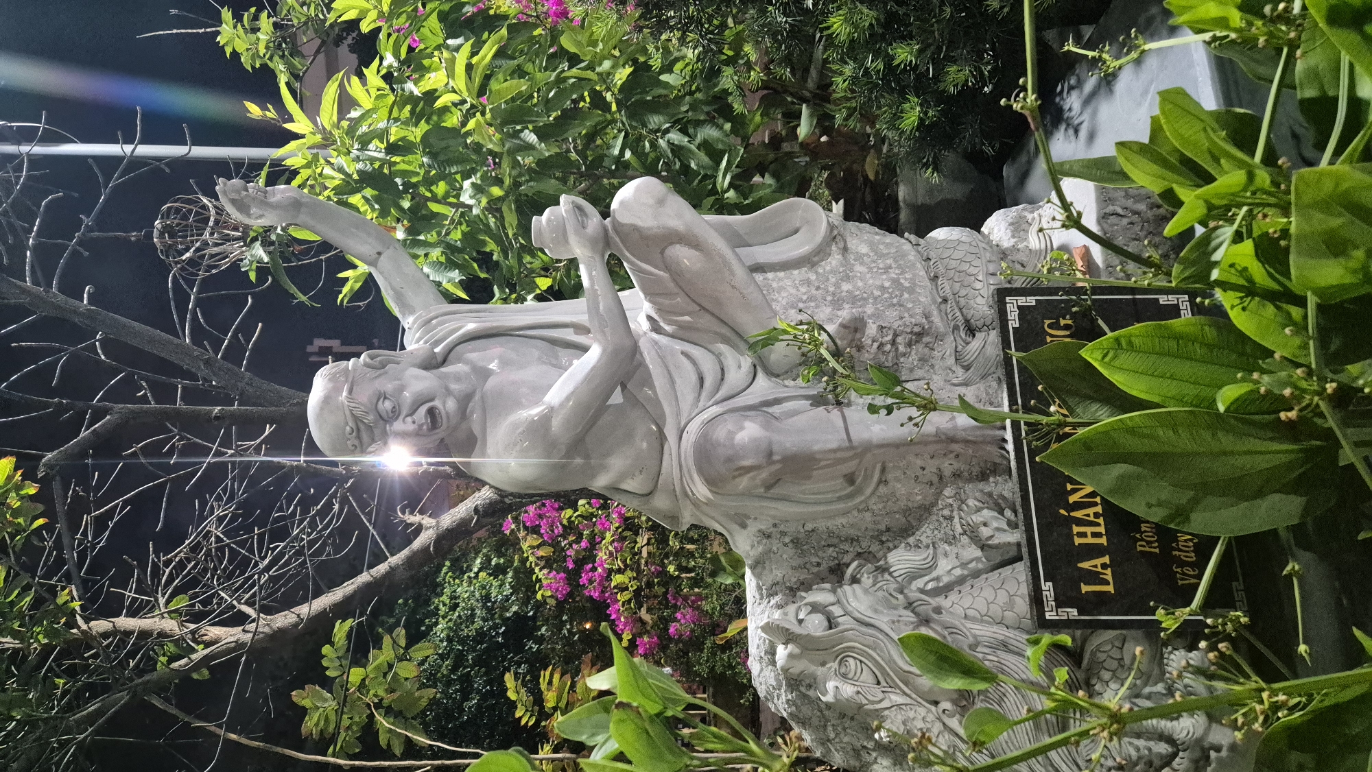 The image shows a statue of a robed figure seated on a carved rock that resembles a dragon. The statue is made of light-colored stone, possibly marble, and depicts the figure with an open mouth and an enraged expression, holding a small pot in one hand and gesturing with the other. The statue is illuminated by artificial lighting, creating bright highlights and shadows. It is surrounded by lush green foliage and some small pink flowers. In the foreground, a dark plaque with gold lettering is visible, partially obscured by leaves. The plaque appears to have text in Vietnamese, including "LA HÁN" and "Về đây".
Based on the text on the plaque, which refers to "La Hán" (a Buddhist arhat) and has Vietnamese text, this statue is likely located in a Buddhist temple or garden in Đà Nẵng, Vietnam. The scene is an outdoor setting, possibly at night, given the artificial lighting and the dark background. The overall impression is one of a religious or cultural site.
