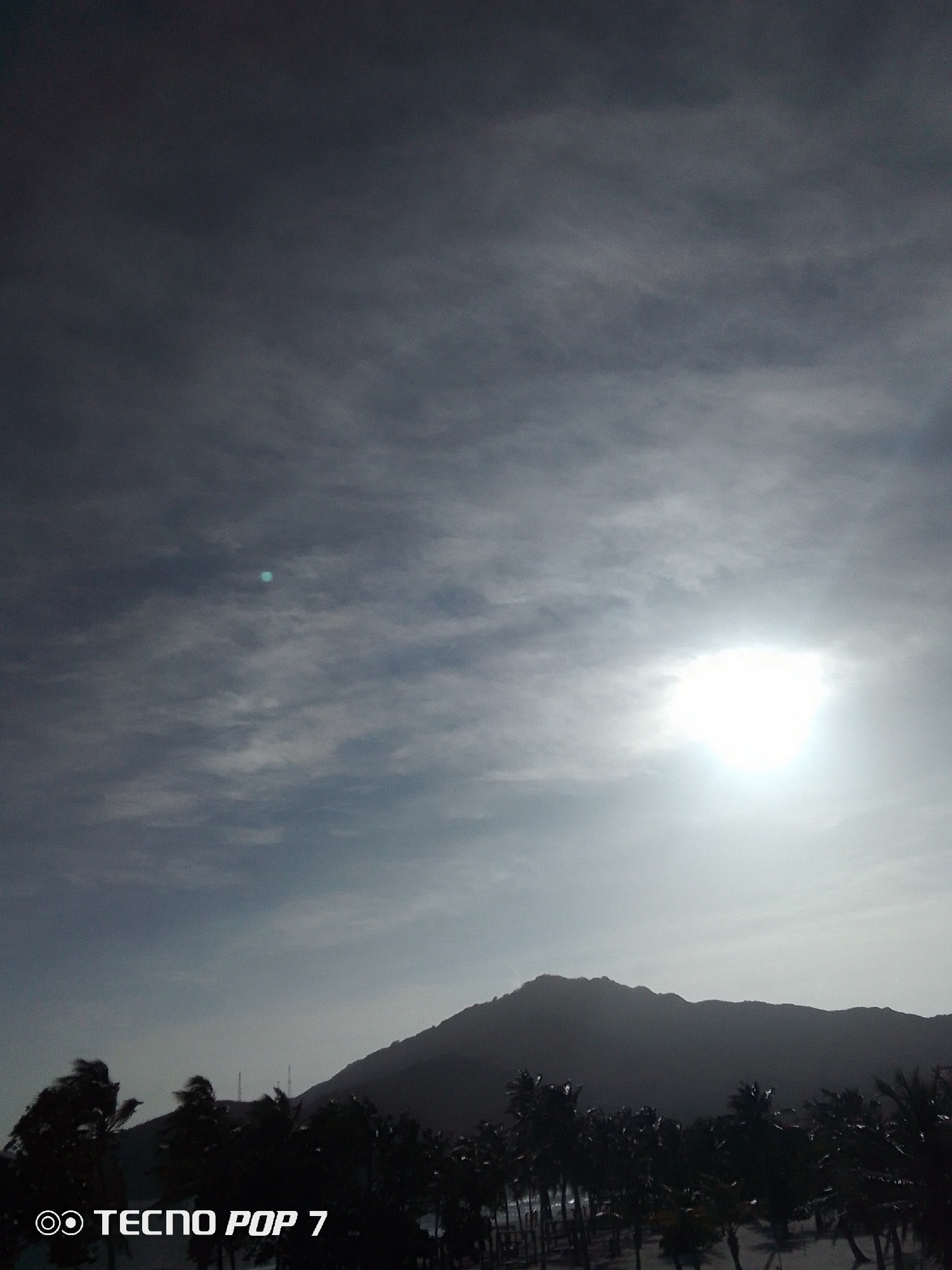The image shows a silhouette of a mountain range against a bright, overcast sky, likely taken in Pedro González, Venezuela. A row of palm trees lines the foreground, obscuring a beach. The sun is visible through the clouds, creating a strong glare. There is a small green dot on the left side of the image. The image has a "TECNO POP 7" watermark in the bottom left corner, suggesting the picture was taken with a smartphone.