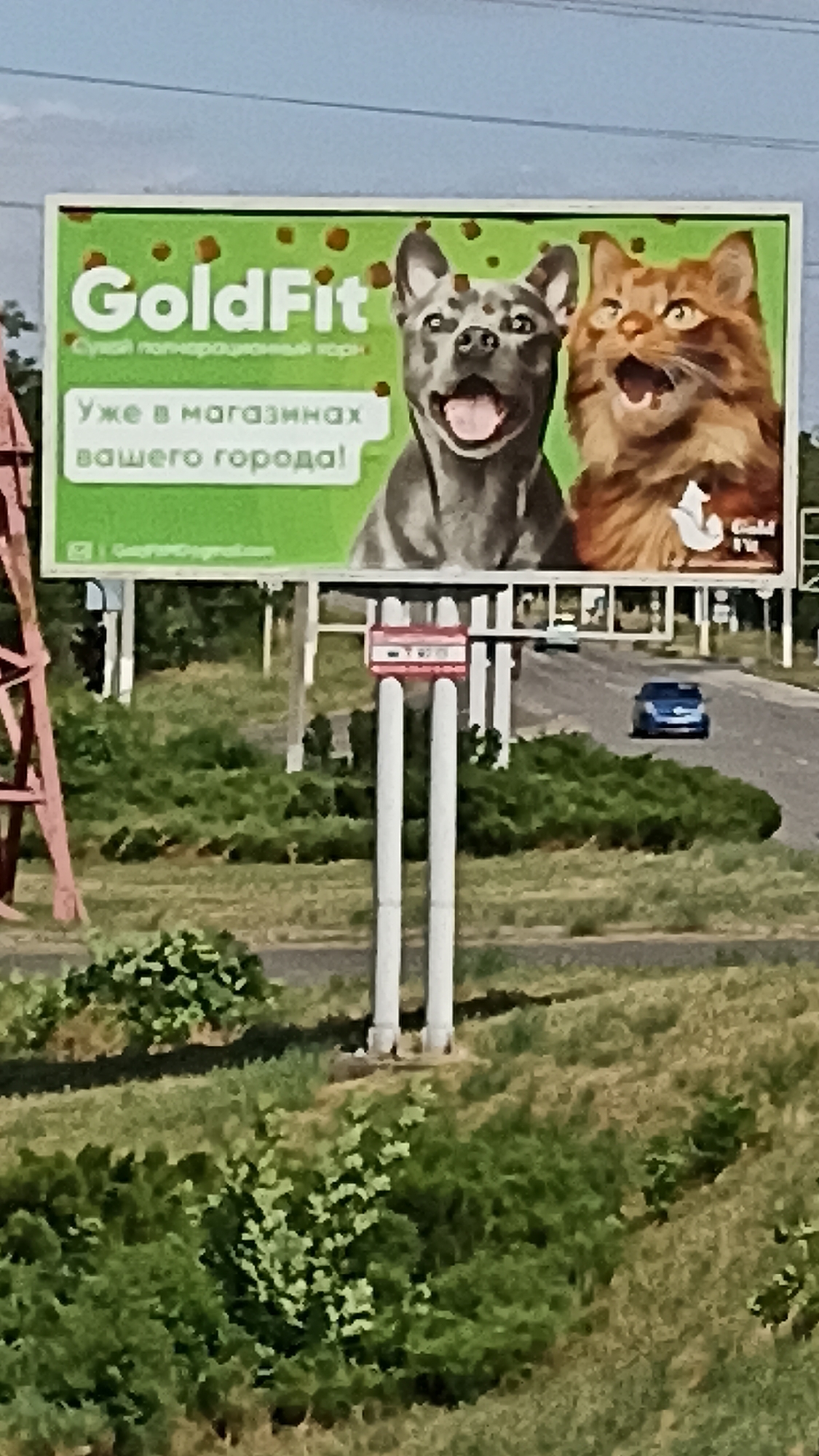 A billboard for "GoldFit" pet food is visible against a bright sky. The billboard features a dog and a cat, both with their mouths open. The text on the billboard reads "GoldFit" and "Уже в магазинах вашего города!", which translates to "Already in stores in your city!". The billboard is supported by a metal structure. In the background, a road is visible with a blue car driving on it. The surrounding area is covered with green bushes and dry grass.
