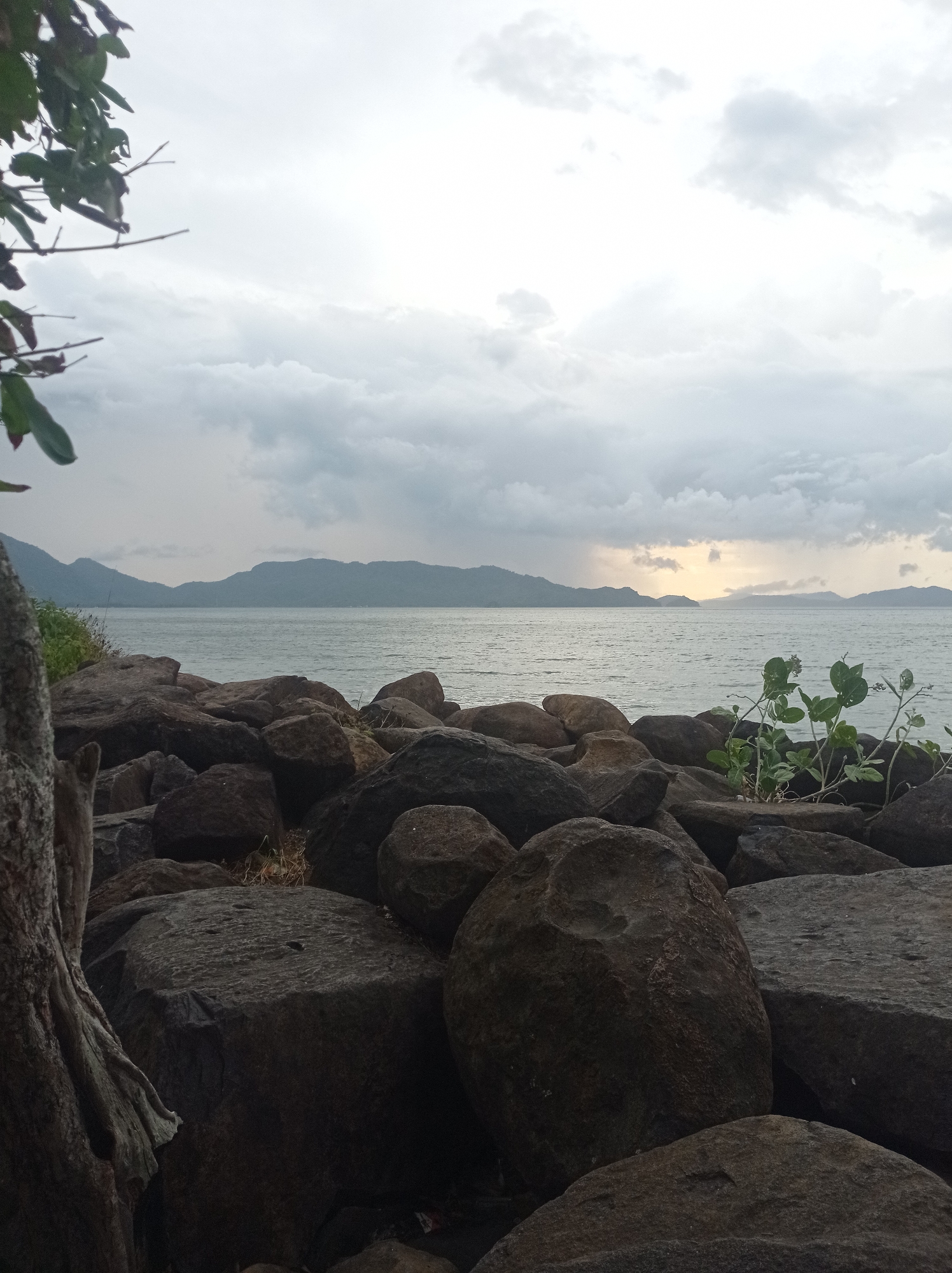An outdoor, vertical shot captures a rocky shoreline with a body of water and distant mountains under a cloudy sky. The foreground is dominated by large, dark, rough-textured rocks, with a thick tree trunk partially visible on the left. Some sparse green vegetation grows among the rocks on the right. The middle ground features calm, gray water that stretches to the horizon. In the background, silhouetted mountains form a hazy range against the sky. The sky is overcast with heavy gray clouds, but a sliver of lighter sky with a hint of yellow suggests the sun may be trying to break through in the distance. The scene appears to be a natural coastal area, possibly along the coast of Banda Aceh, Indonesia, known for its scenic beauty and rocky shores. There are no people or animals visible in the frame.