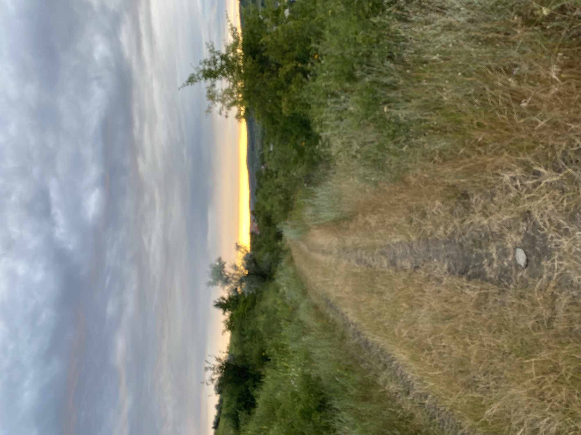 The image depicts a dirt road winding through a grassy landscape under a cloudy sky. The road is textured with tire tracks, suggesting it's used by vehicles. To the left of the road, lush green grass and scattered trees create a verdant embankment. In the distance, a thin band of golden light at the horizon suggests either sunrise or sunset, casting a warm glow over the scene. The sky is filled with dynamic, grey clouds, indicating overcast conditions. The overall impression is one of a rural, natural setting, possibly during a transitional period of the day. There are no people or specific objects clearly identifiable in the scene. The location context is Horodca, Moldova.