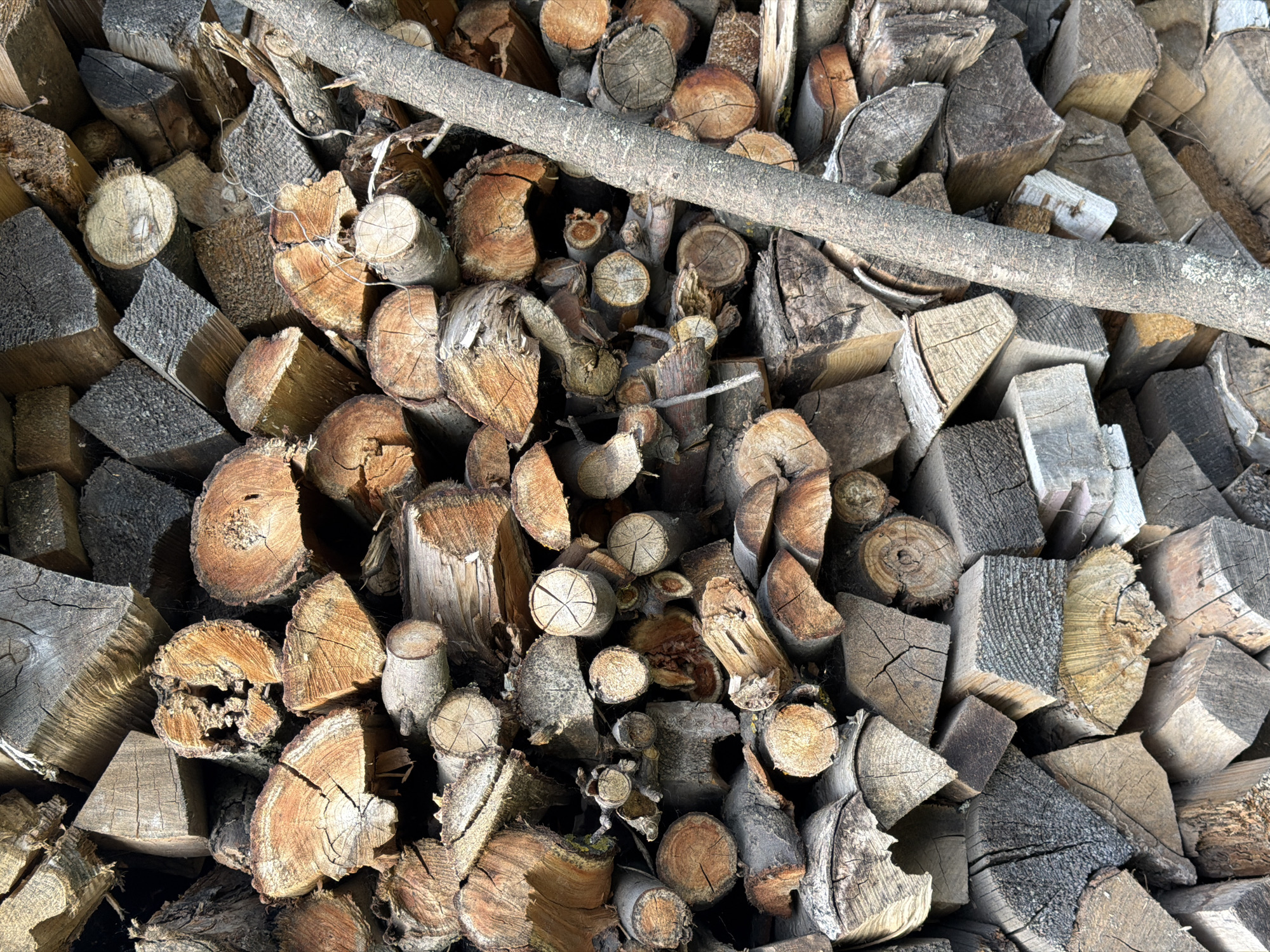 The image depicts a closely packed stack of cut firewood, comprising logs and split wood pieces of varying sizes, shapes, and colors. The wood ranges from light gray to brown and reddish hues. A thin, gray, fallen branch lies across the stack. The location is unknown, and no information about the city of Plamya, Russia, is present in the image. There are no people visible.
