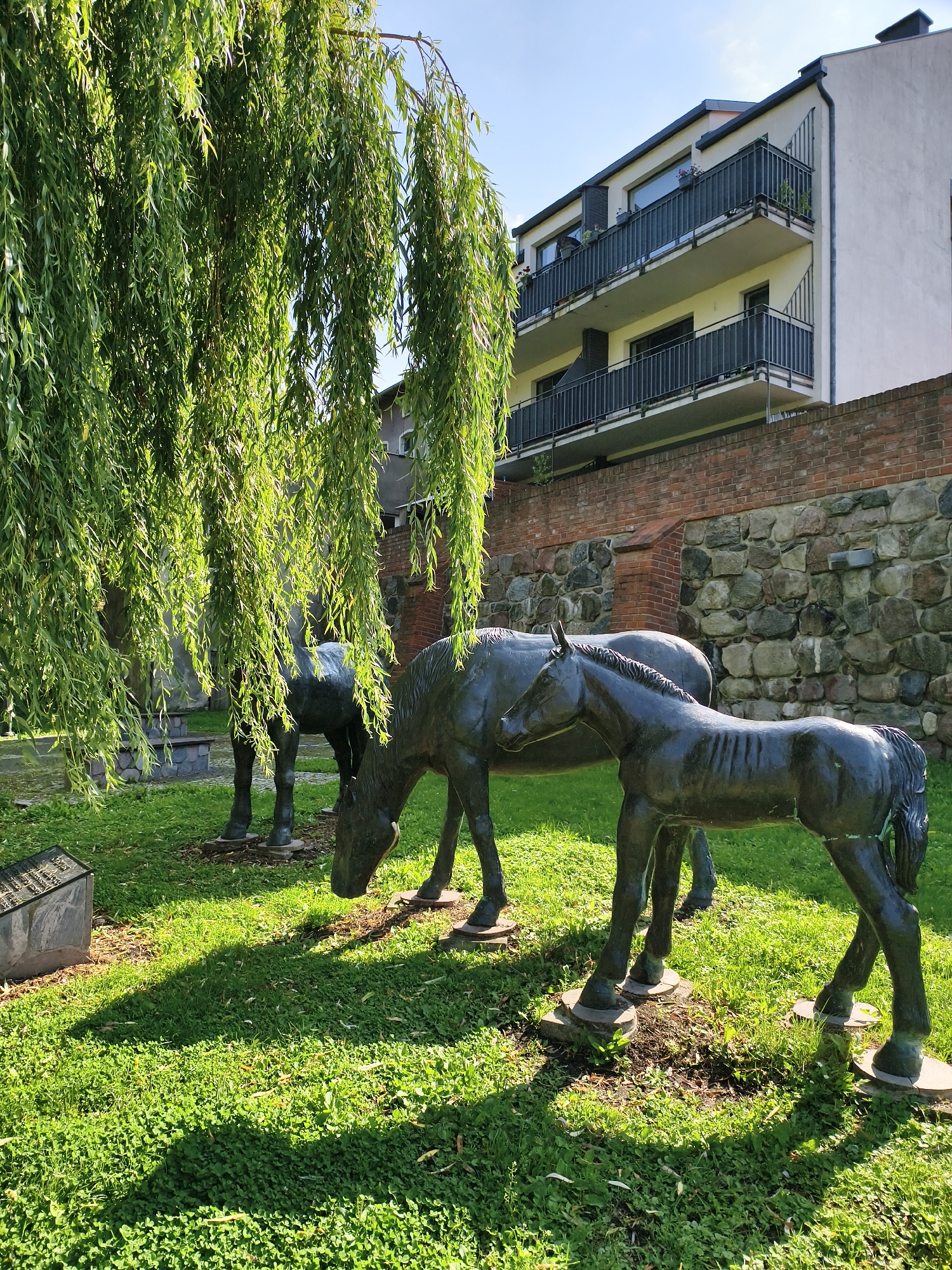 In Sztum, Poland, the image captures a serene scene in a grassy area with three dark-colored horse sculptures. A mature weeping willow tree dominates the foreground, its long, slender leaves casting dappled shadows on the ground. In the background, a section of a weathered stone wall is visible, topped by a modern building with balconies. The sculptures depict two adult horses and one foal, positioned as if grazing and interacting. The overall impression is one of tranquility and artistic representation within an urban setting.