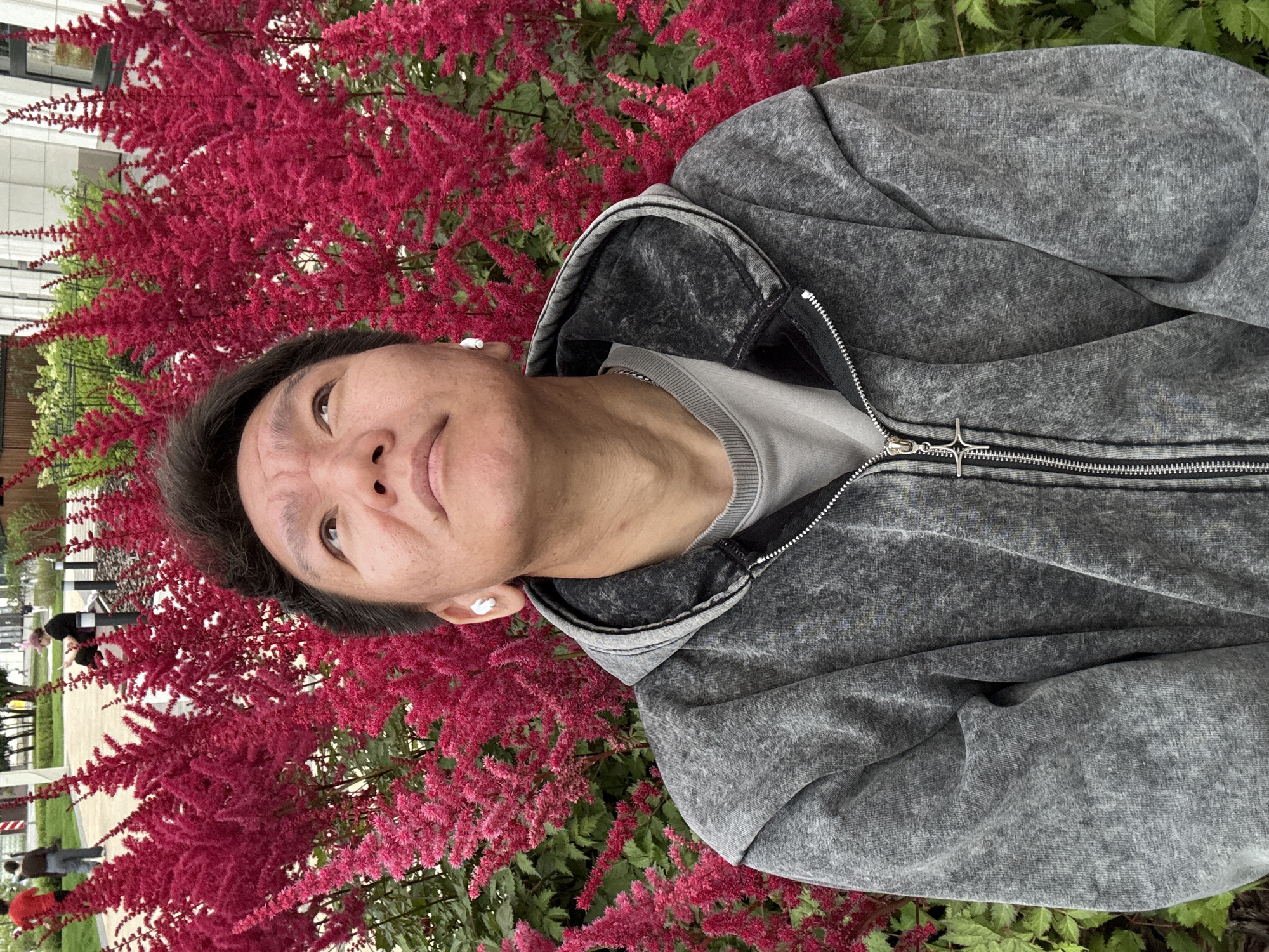 A medium shot shows a person looking up with their mouth slightly open, against a backdrop of vibrant pink astilbe flowers. The person is wearing a gray, acid-wash zip-up hoodie over a light gray crewneck sweatshirt, and white wireless earbuds. A silver chain necklace is visible around their neck. The hoodie has a prominent zipper with a star-shaped pull tab. The person's hands are not visible. The background consists of a dense planting of pink astilbe flowers and green foliage, with hints of urban structures and people in the distance, suggesting an outdoor public space. The lighting is even, indicating it is daytime.