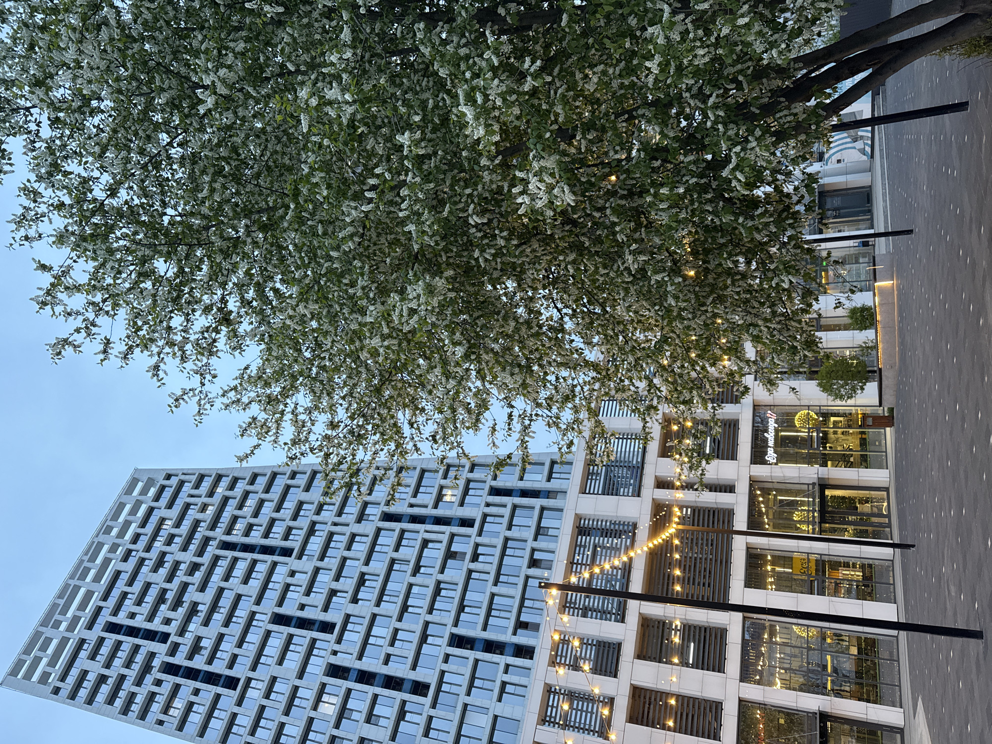 The image depicts a modern urban landscape in Izhevsk, Russia. A tall, geometrically patterned building with numerous windows dominates the left side of the frame. A tree with white blossoms occupies the upper portion of the image. To the right, a modern building with a storefront is visible, adorned with string lights. The ground is paved with grey stone tiles. The overall scene is illuminated by artificial lighting and natural daylight, creating a mix of light and shadows. There are no people visible in the frame.