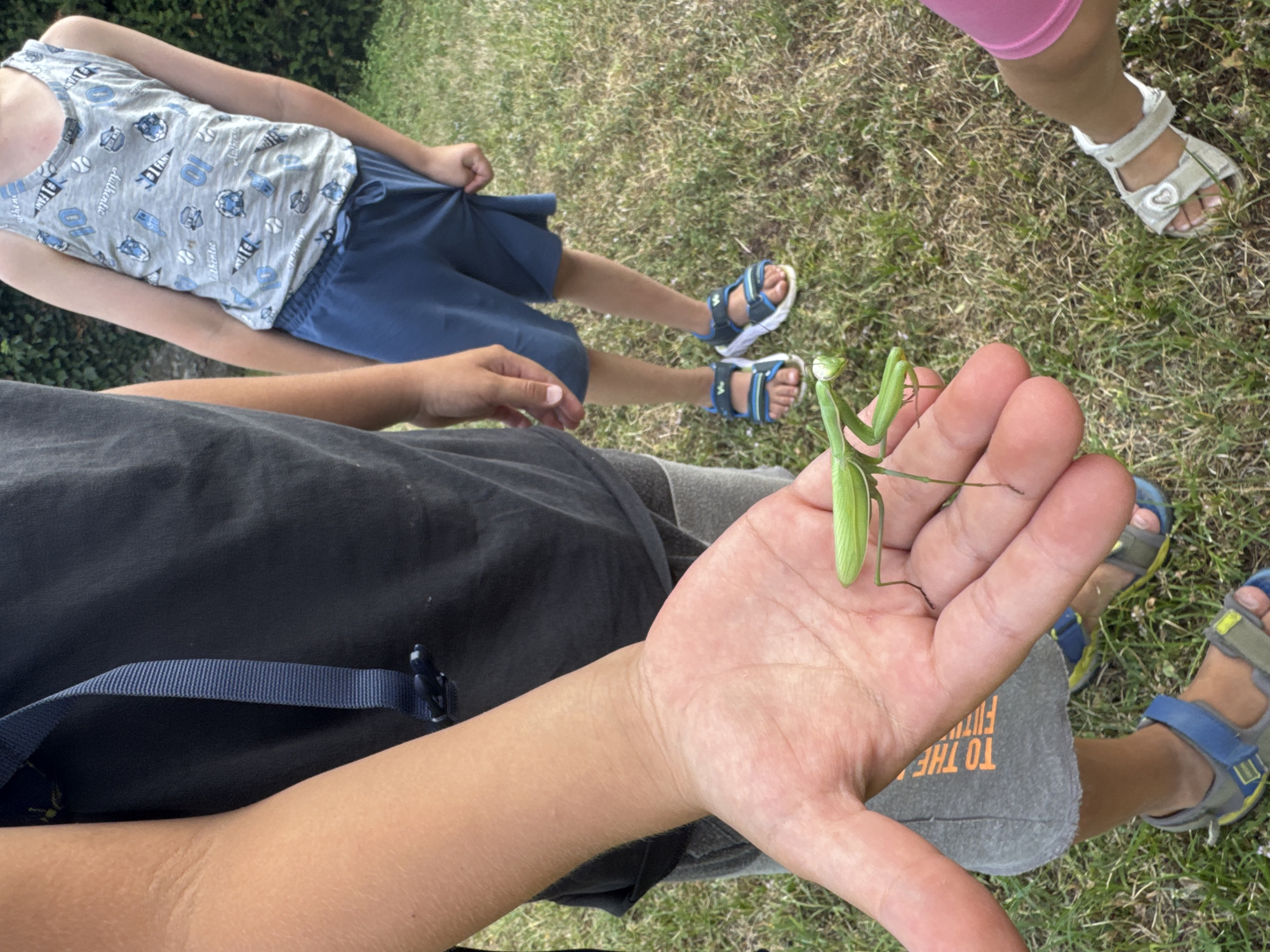 In Balerna, Switzerland, a close-up shot captures a person's hand holding a green praying mantis. The mantis, in focus, is positioned on the palm, with its forelegs extended. Behind the hand, another child is visible, wearing a dark t-shirt and grey shorts with orange text. To the right, a third child is seen wearing a grey tank top with a pattern and blue shorts, along with blue sandals. A fourth child's legs, wearing pink leggings and white sandals, are visible in the lower right corner. The background consists of green grass, suggesting an outdoor setting.
