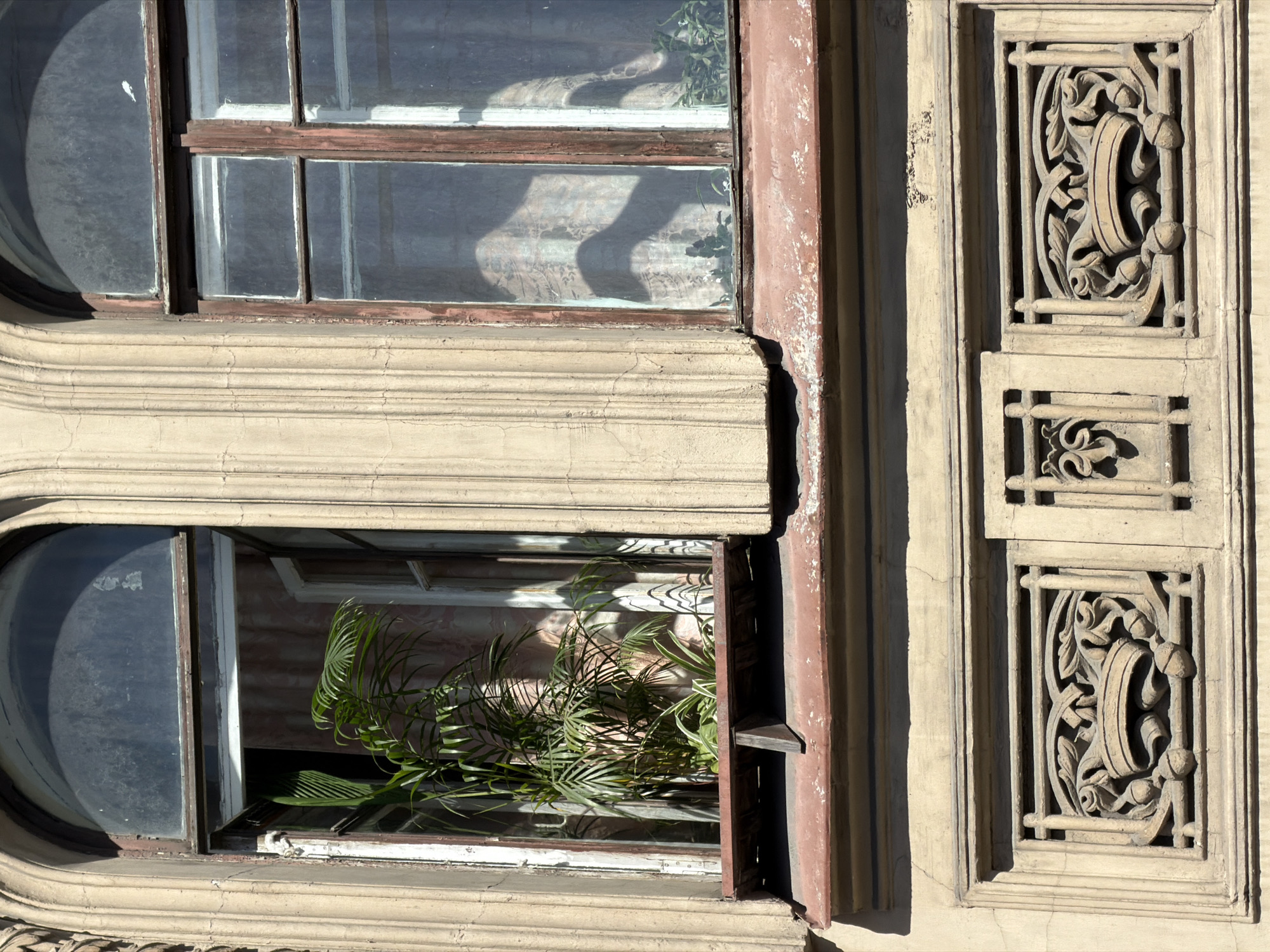 The image displays a weathered building facade, characteristic of 19th or early 20th-century architecture found in Saint Petersburg, Russia. The scene focuses on two arched windows and the decorative paneling below them.
The left window features an arched, multi-paned top section with frosted or dirty glass. The lower sash is open inward, revealing a large potted palm plant and a smaller leafy plant positioned on the windowsill inside. The interior behind the plants shows a patterned curtain. The window frame is dark, appearing to be weathered wood with peeling reddish-brown paint. This window is flanked by a fluted pilaster-like architectural element made of light beige stucco or stone.
The right window is similar in design with an arched, multi-paned top and dark, weathered frames. Its glass is dirty, and it is closed. Inside, a patterned curtain is visible, casting a prominent, abstract shadow on the glass, possibly from an internal object or furniture. Small green plants are visible on the interior windowsill. This window also has a fluted architectural surround.
Below the windows, a reddish-brown metal or stone windowsill with signs of wear and rust extends across the width of both windows. Beneath this ledge, the building's facade is adorned with decorative stucco or stone paneling. Two prominent rectangular panels feature carved reliefs of a crown flanked by stylized leaves and acorns, suggesting heraldic or classical motifs. Between these two crown panels, and to the left of the right crown panel, is a smaller, vertical rectangular panel with a simpler, trefoil-like carving. The overall facade material is light beige, showing cracks and signs of age. The scene is illuminated by strong sunlight, creating distinct shadows on the architectural details and inside the windows. No people or moving objects are present.