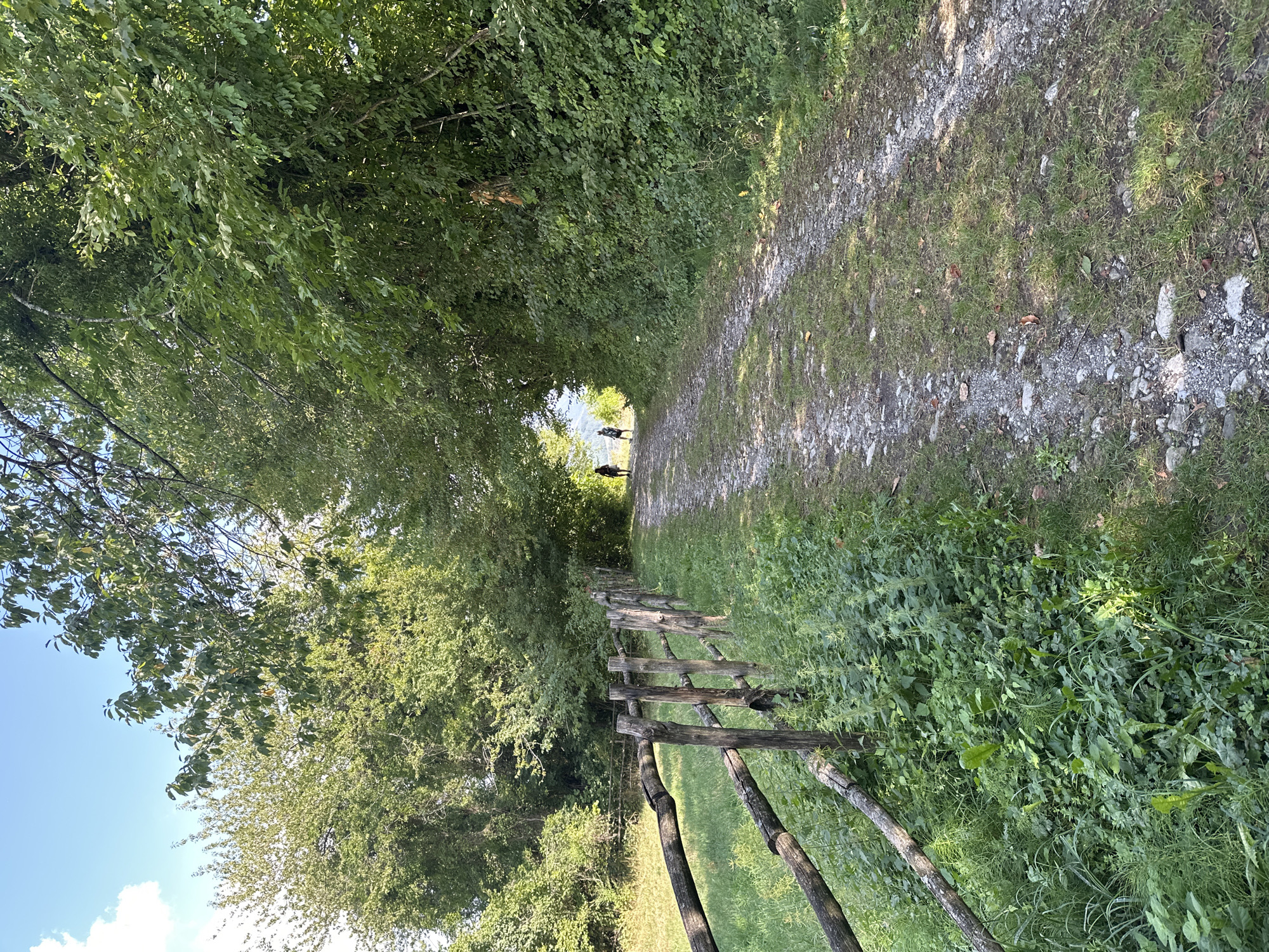The image depicts a dirt path winding through a lush, tree-lined landscape, possibly in the vicinity of Scurano, Italy. On the left side of the path, a rustic wooden fence made of rough-hewn logs and posts separates the path from a grassy field. The field is covered in a variety of green vegetation, including taller grasses and leafy plants. The path itself is composed of gravel and dirt, with patches of grass growing through it.
Further down the path, two individuals are walking away from the camera. The person in front is wearing a dark top and light-colored shorts or skirt. The person behind them is also wearing dark clothing and appears to be carrying a backpack. They are walking under a canopy of trees that arch over the path, creating a tunnel-like effect. The leaves of these trees are a vibrant green, suggesting it is likely springtime or summer. Sunlight filters through the leaves, creating dappled light on the path. In the distance, beyond the trees, a hint of a brighter landscape with a lighter sky suggests an opening in the foliage. The overall impression is one of a serene, natural environment, perhaps a walking trail or a country road.