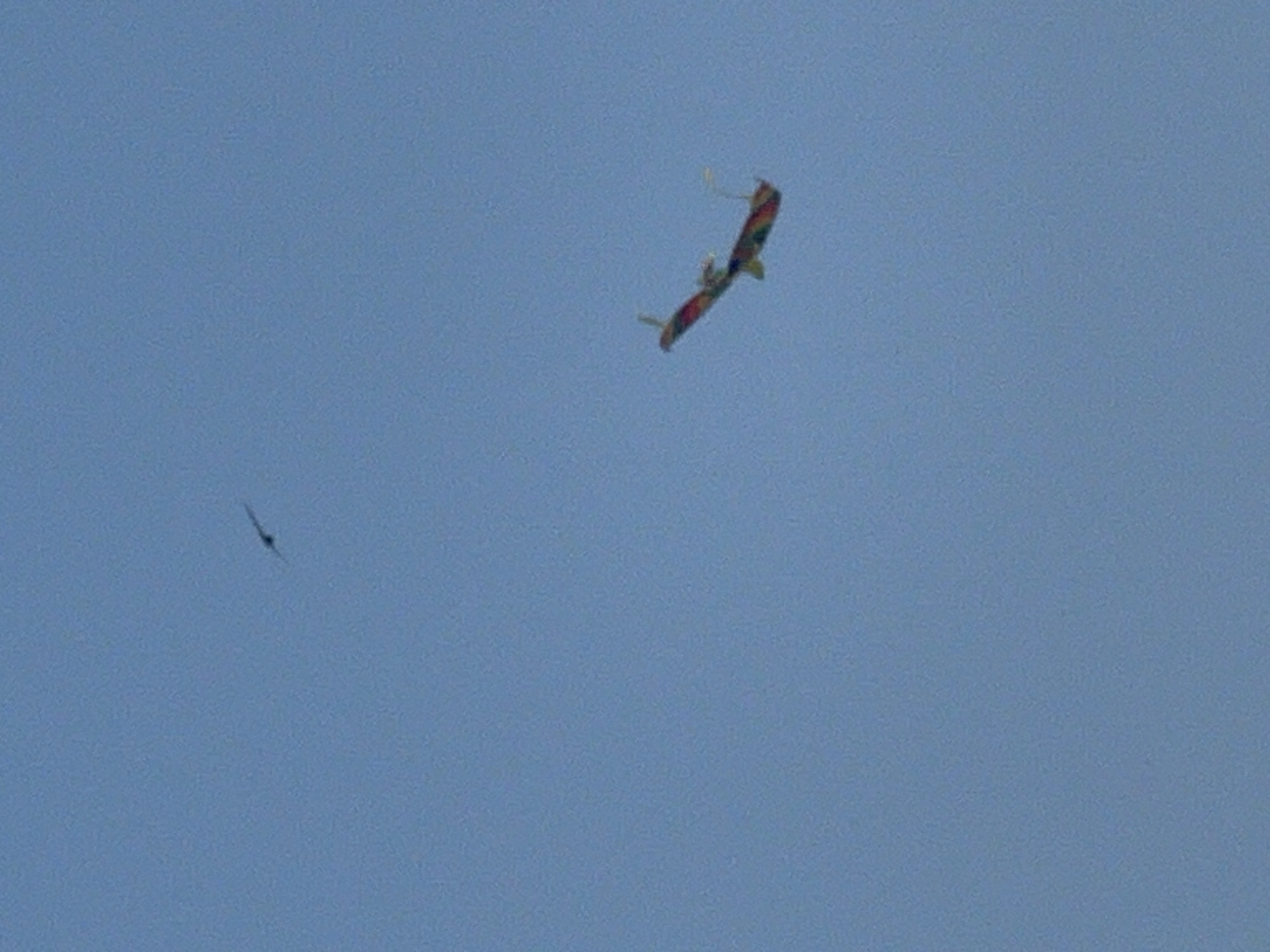 An outdoor, eye-level shot captures a clear blue sky with two objects in flight. In the upper left quadrant, a small black bird is silhouetted against the sky, its wings outstretched. Further down and to the right, a colorful kite, appearing to be shaped like a bird or dragon, is also airborne. The kite displays a pattern of red, yellow, and green. The scene is devoid of any discernible landscape or urban elements, suggesting an open sky environment.