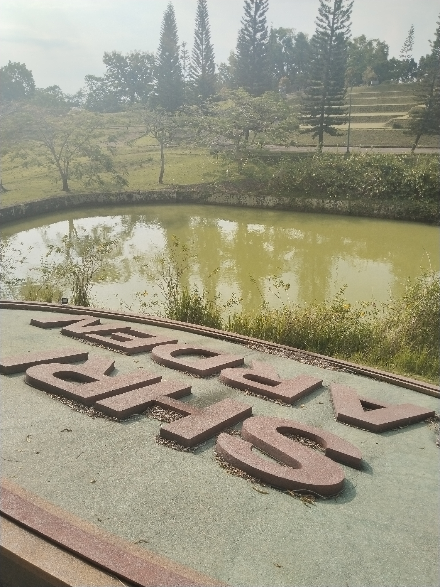 An outdoor landscape view captured in hazy daylight at Tohkuning, Indonesia, depicts a serene park or garden setting. In the immediate foreground, large, dark reddish-brown three-dimensional letters are embedded into a light green, gravel-like surface. These letters appear to spell "WEDDASH". Some dry leaves and debris are scattered around the base of the letters.
Beyond the foreground letters, a calm body of water, likely a pond or small lake, occupies the midground. The water has a distinct greenish-brown hue and reflects the hazy sky and surrounding vegetation, creating rippled patterns. Reeds and grass grow along the water's edge, particularly on the near side. The far bank of the water is lined with a low stone wall.
In the background, rolling hills rise, covered in vibrant green grass and numerous trees. Several tall, slender, coniferous trees, resembling pines, stand prominently on the hills. Further back, the terrain shows distinct terraced sections, suggesting either agricultural cultivation or decorative landscaping. The sky is bright but appears overcast or hazy, diffusing the sunlight and casting soft shadows. No people or specific activities are visible in the image, contributing to a peaceful and undisturbed atmosphere.