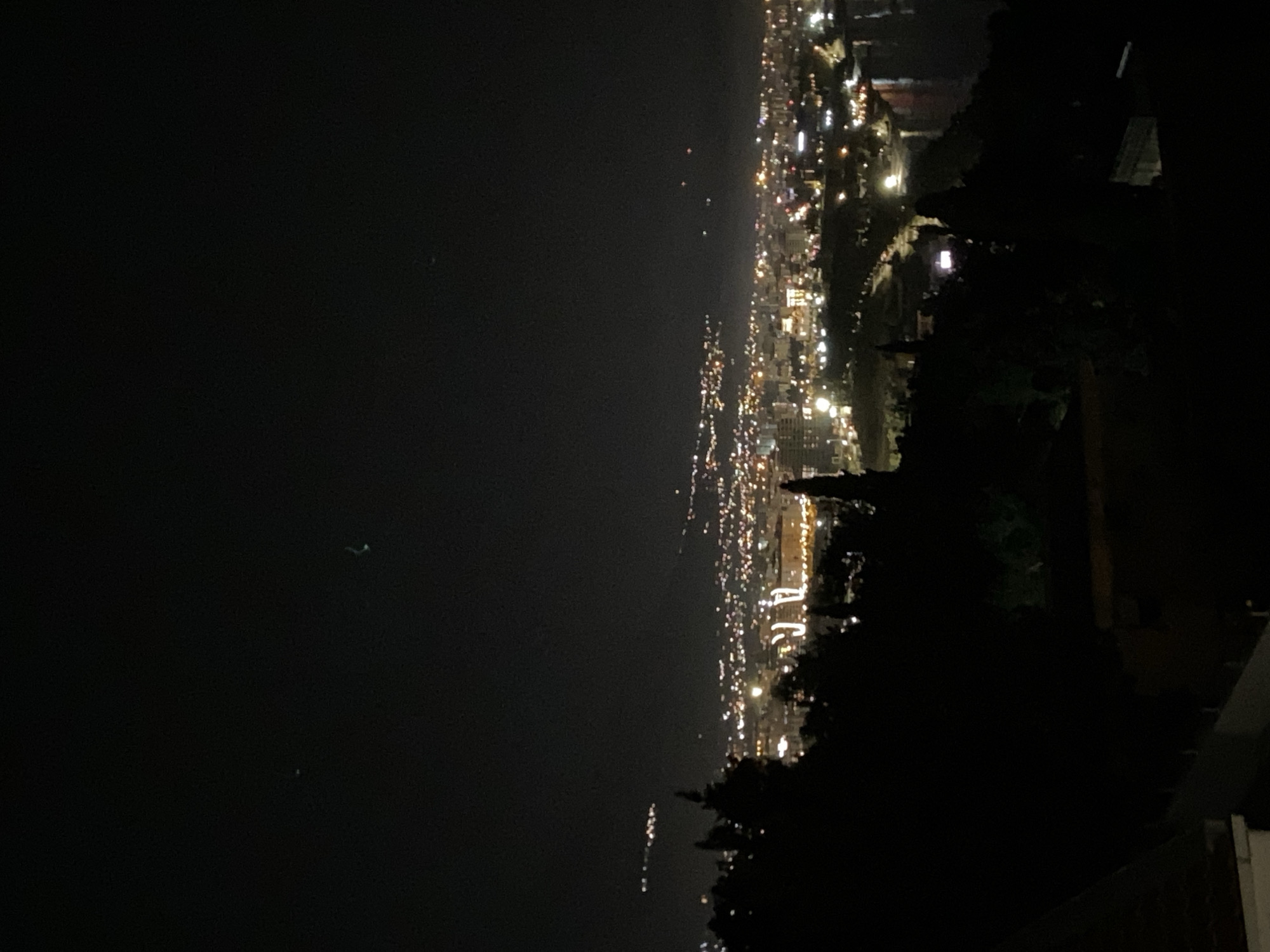 Nighttime view of a city from an elevated position, possibly Šušanj, Montenegro, showing a coastline with lights. The foreground consists of dark foliage and a partial structure, likely vegetation and a building from the vantage point. In the distance, numerous lights define the urban area along the shore, reflecting on the dark sea or bay. Some lights are more concentrated, suggesting denser urban areas. The scene is dark, with the artificial lights providing the primary illumination.