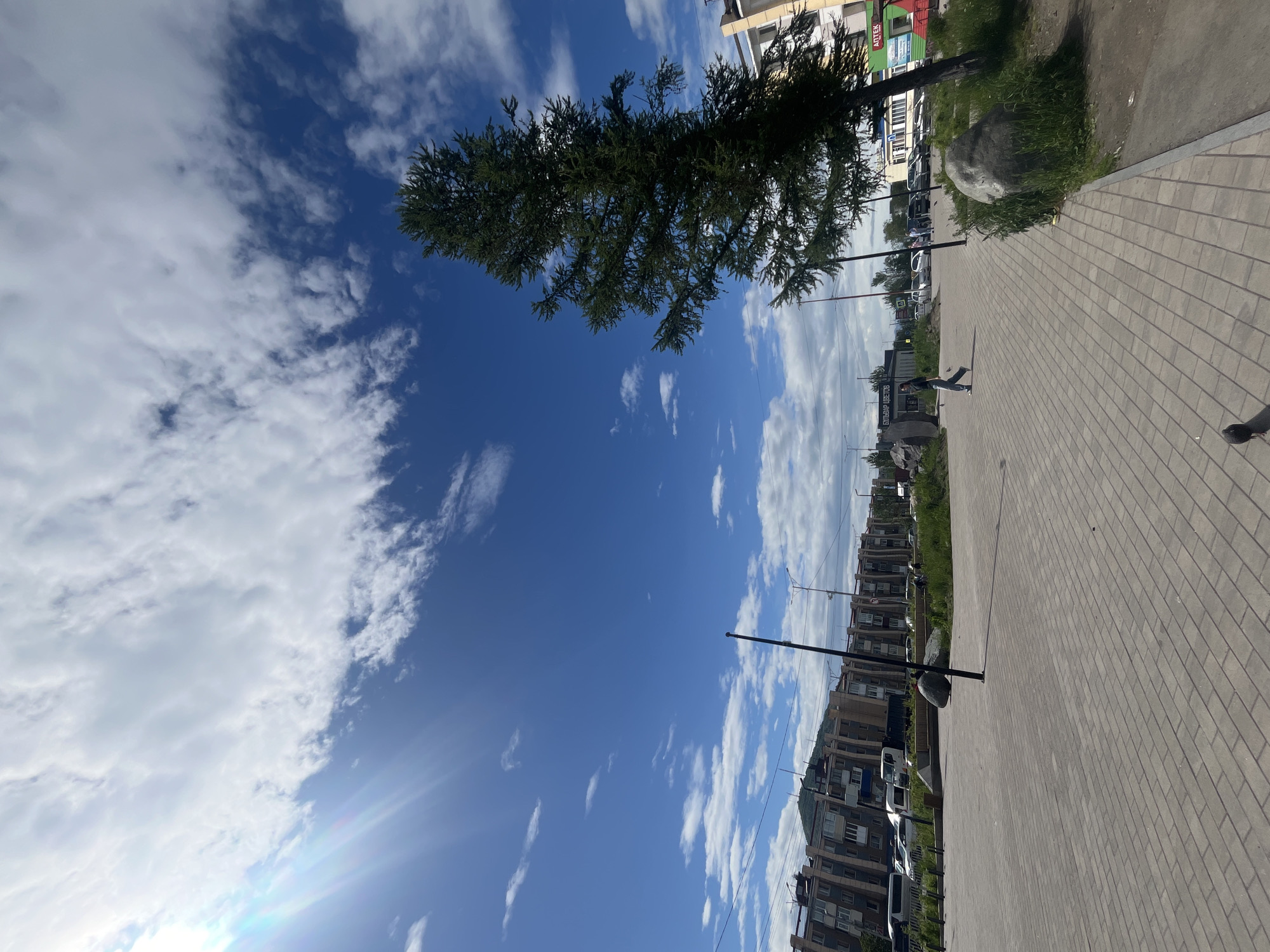 The image depicts a wide, paved pedestrian area with a brick-like pattern, leading towards a street lined with buildings. A tall, dark-barked coniferous tree stands prominently on the right side of the frame, its branches extending towards the bright blue sky dotted with fluffy white clouds. Sunlight beams from the upper left corner, creating lens flare effects.
In the mid-ground, several people are visible walking along the pedestrian path. One person, a woman wearing a dark top and light-colored pants, is walking towards the left. Further down the path, a group of individuals are walking in the same direction. A large, grey boulder sits on the right side of the path, nestled amongst green grass and other vegetation.
Beyond the pedestrian area, a street runs parallel, with cars, vans, and a truck parked or driving. The buildings lining the street are of varied architectural styles, some appearing to be multi-story residential buildings with balconies, while others are commercial establishments with visible signage. One building on the right has a green facade with a red sign that reads "АПТЕКА" (Apteka), indicating a pharmacy. In the distance, a green, hilly landscape can be seen behind the buildings. A single tall, dark lamp post stands in the mid-ground. Two pigeons are visible on the paved area in the foreground.
The overall scene suggests an urban environment in daylight, likely during the daytime given the bright sunlight and clear sky. The presence of the pharmacy sign with Cyrillic script indicates a Russian-speaking location. Considering the distinctive landscape and common urban features, the location is identified as Petropavlovsk-Kamchatsky, Russia.