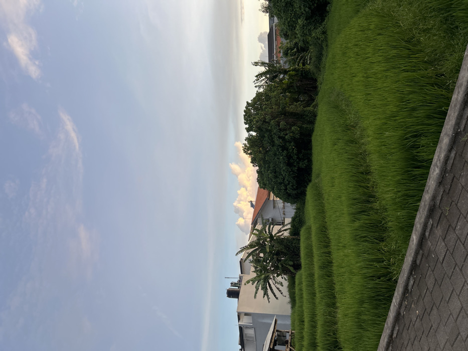 The image depicts an outdoor scene in the city of Unknown, Unknown, presenting a mix of agricultural and residential elements under a late afternoon or early evening sky. In the immediate foreground, a grey paved surface, constructed from rectangular pavers, is visible, bordered by a low concrete curb. Beyond the curb, the midground is dominated by a series of terraced rice paddies, densely planted with vibrant green rice plants. A narrow dirt path is discernible winding through the paddies on the right.
In the background, on the left side, stands a two-story building with a light-colored facade and a flat roof, on top of which two dark cylindrical water tanks are mounted. To the left of this building, a small, open-sided wooden hut with a light-colored roof is partially visible. Several banana trees grow adjacent to the main building. Towards the center-right background, dense tropical foliage and various trees partially obscure another building, which features a reddish-brown tiled roof. The sky overhead is a light blue with sparse, wispy cirrus clouds, transitioning towards the horizon where larger cumulus clouds are illuminated with golden-orange hues, indicative of sunset conditions. No individuals, explicit actions, or interactions are present in the scene.